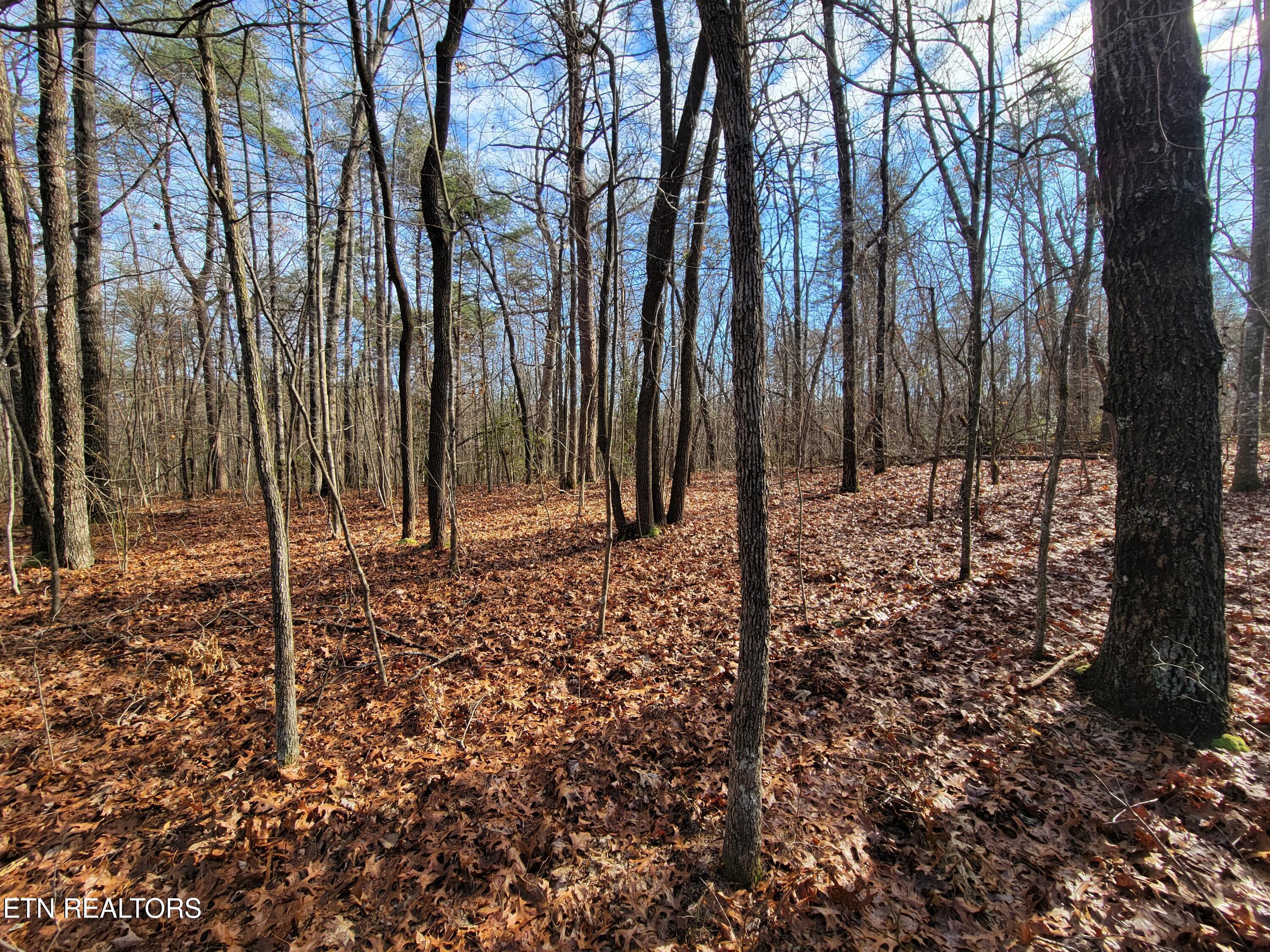 30 Laurel Loop Monterey TN 38574