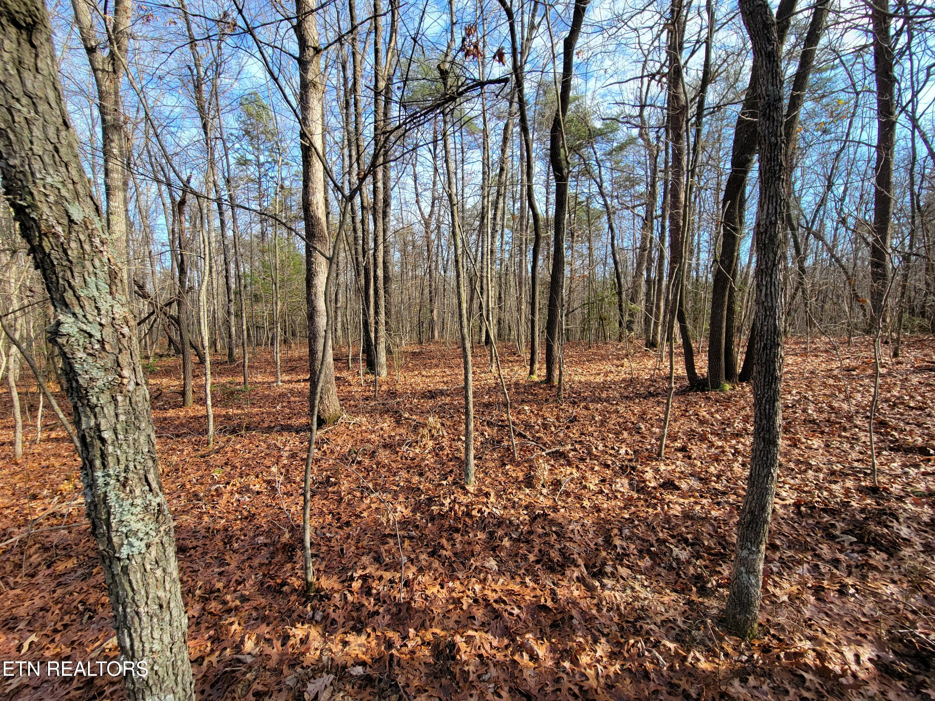 30 Laurel Loop Monterey TN 38574