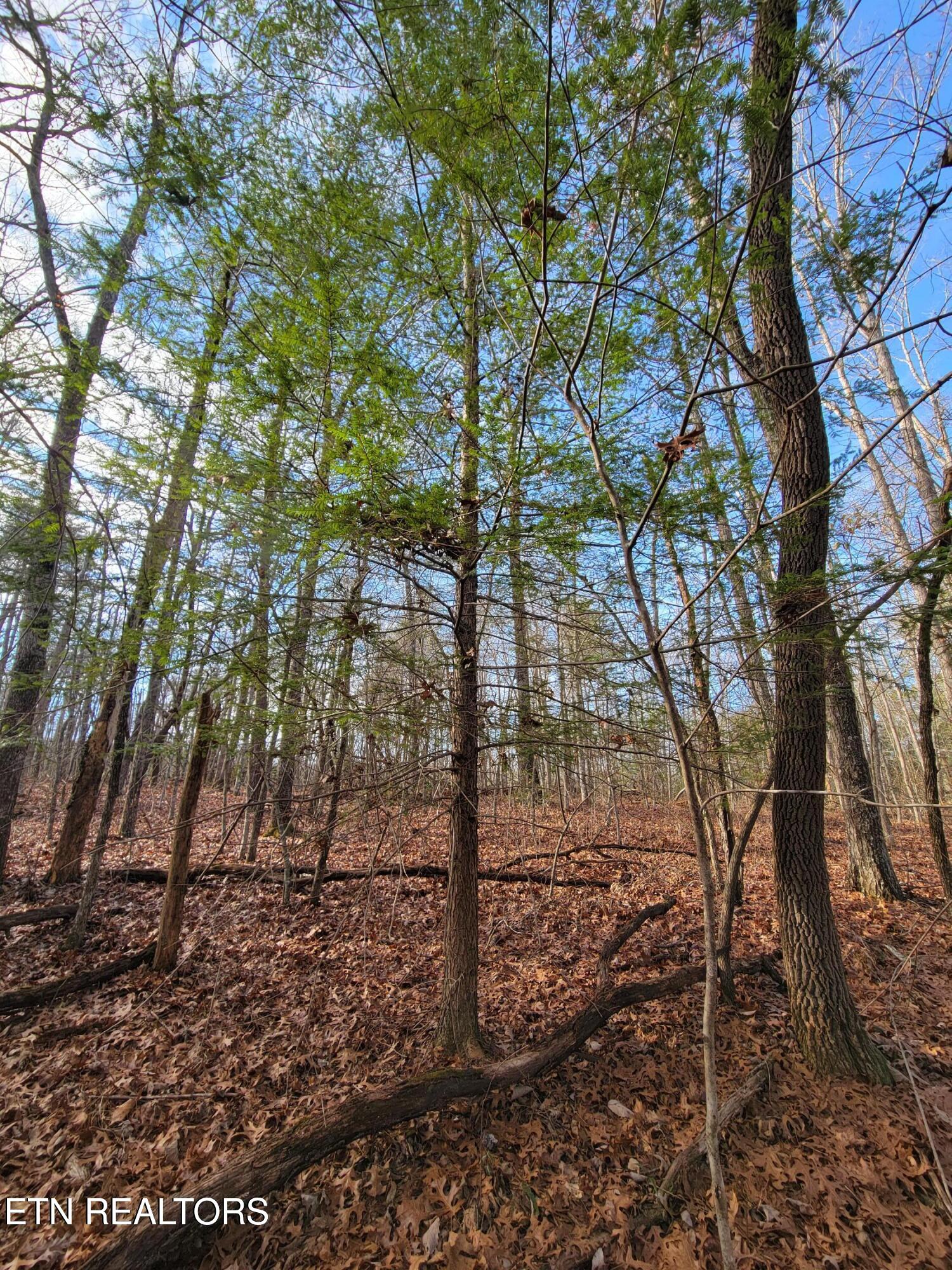 30 Laurel Loop Monterey TN 38574