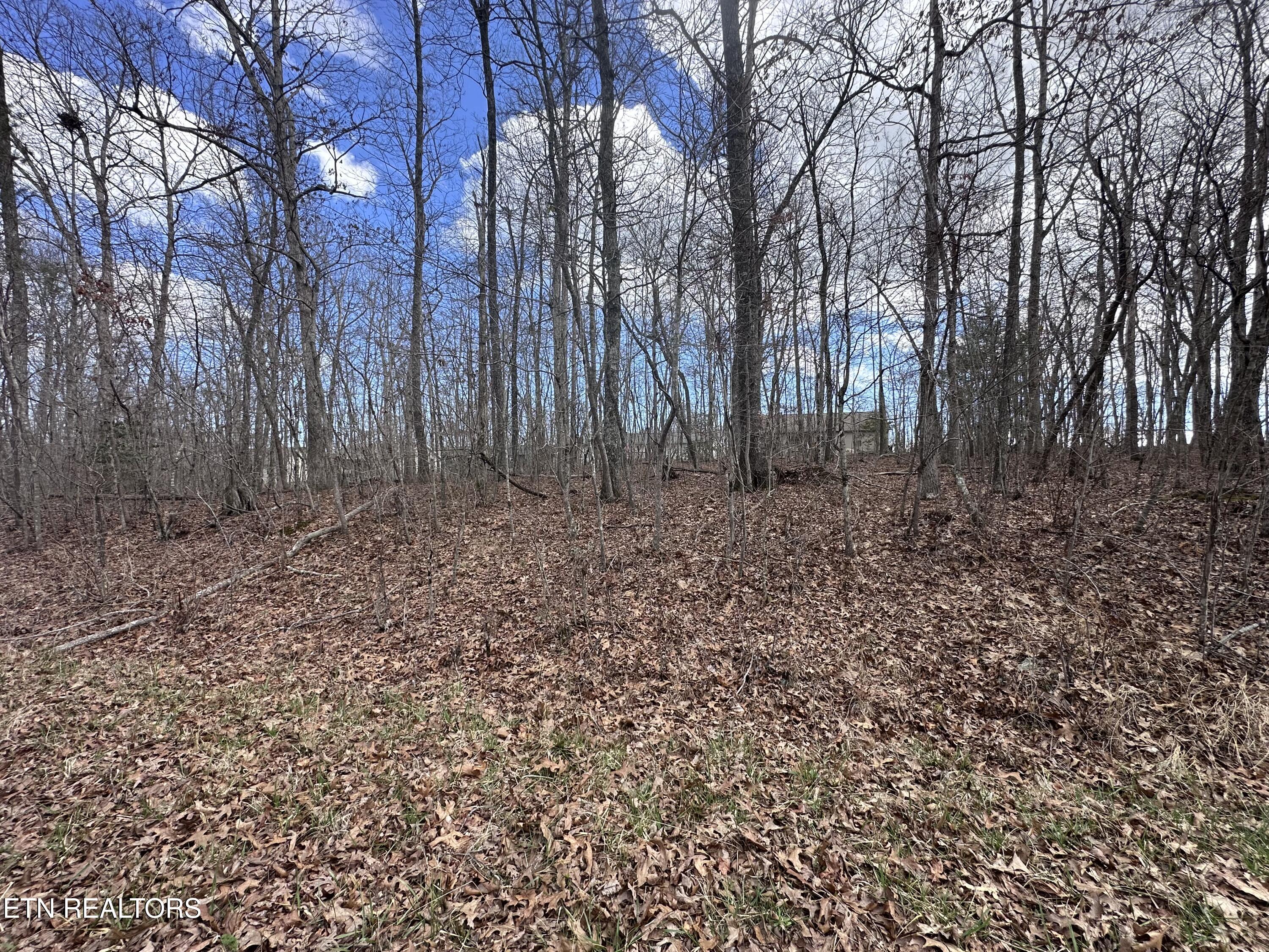 Tama Trace #9 Crossville TN 38572