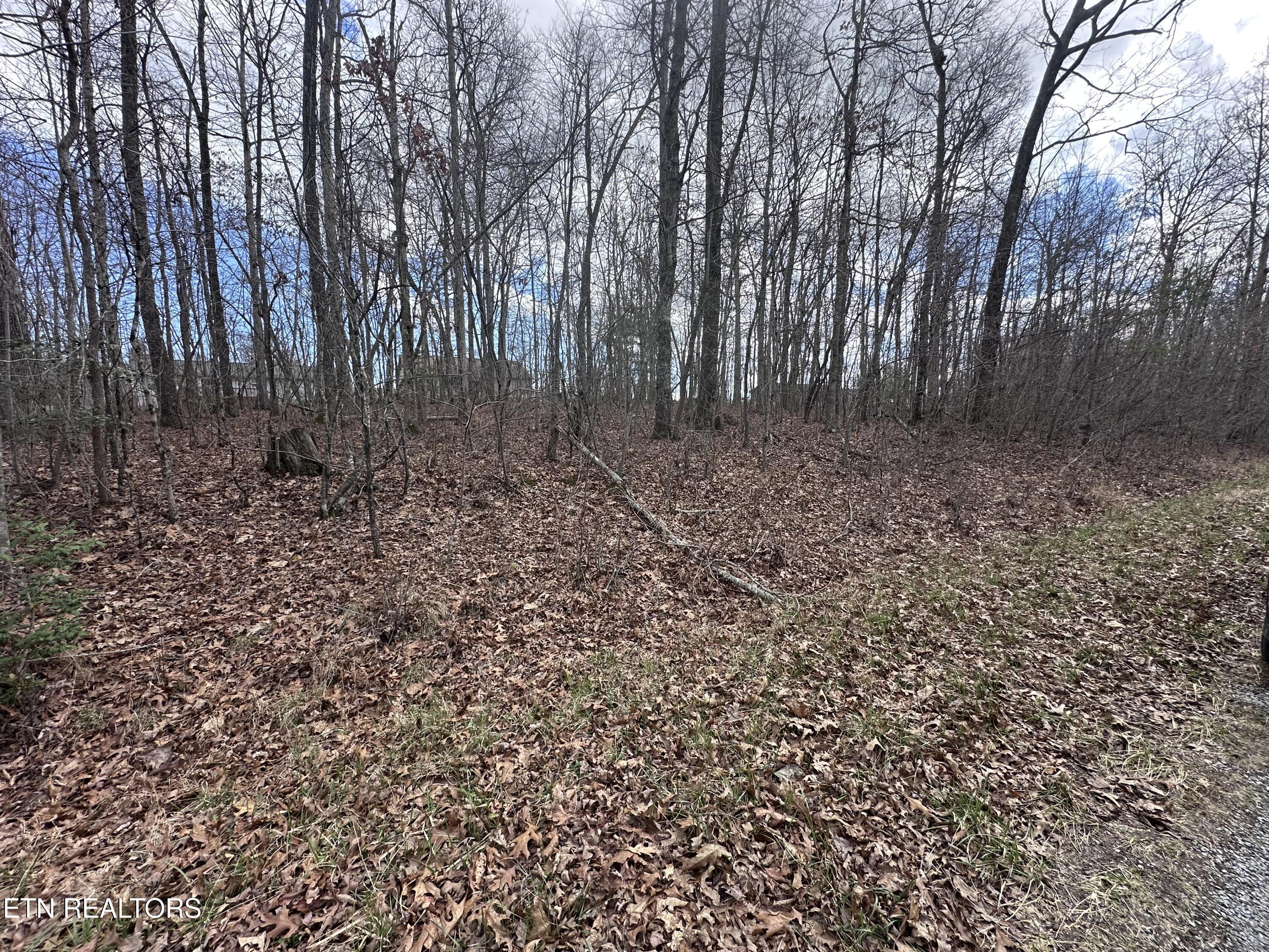 Tama Trace #9 Crossville TN 38572