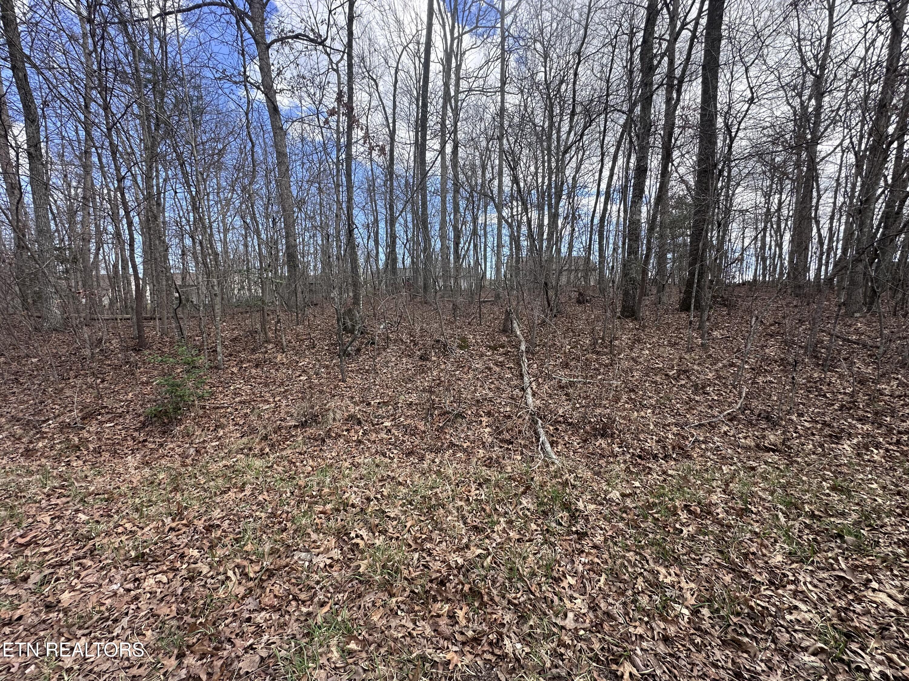 Tama Trace #9 Crossville TN 38572