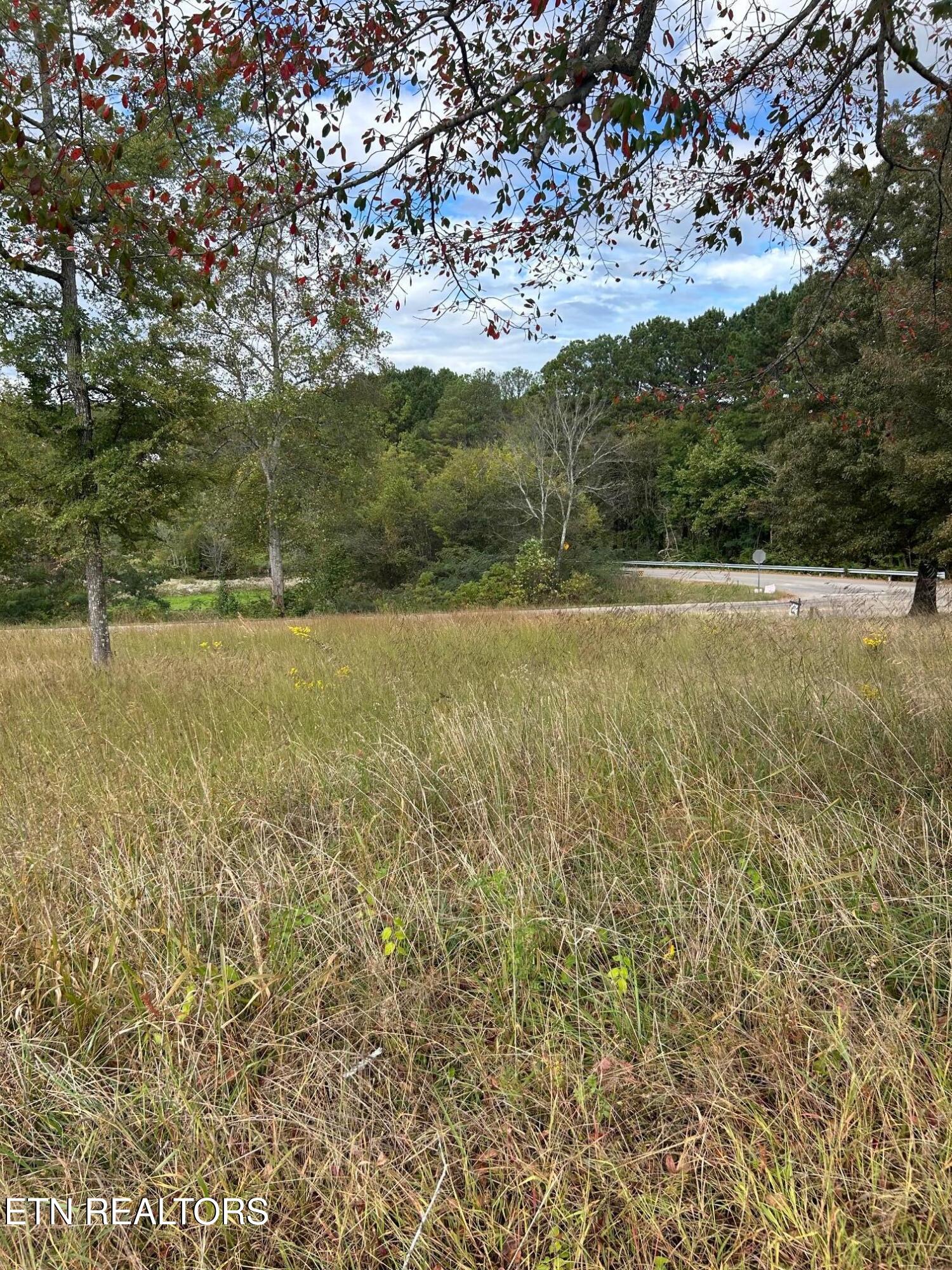 Lot 2 A Highway 39 Athens TN 37303