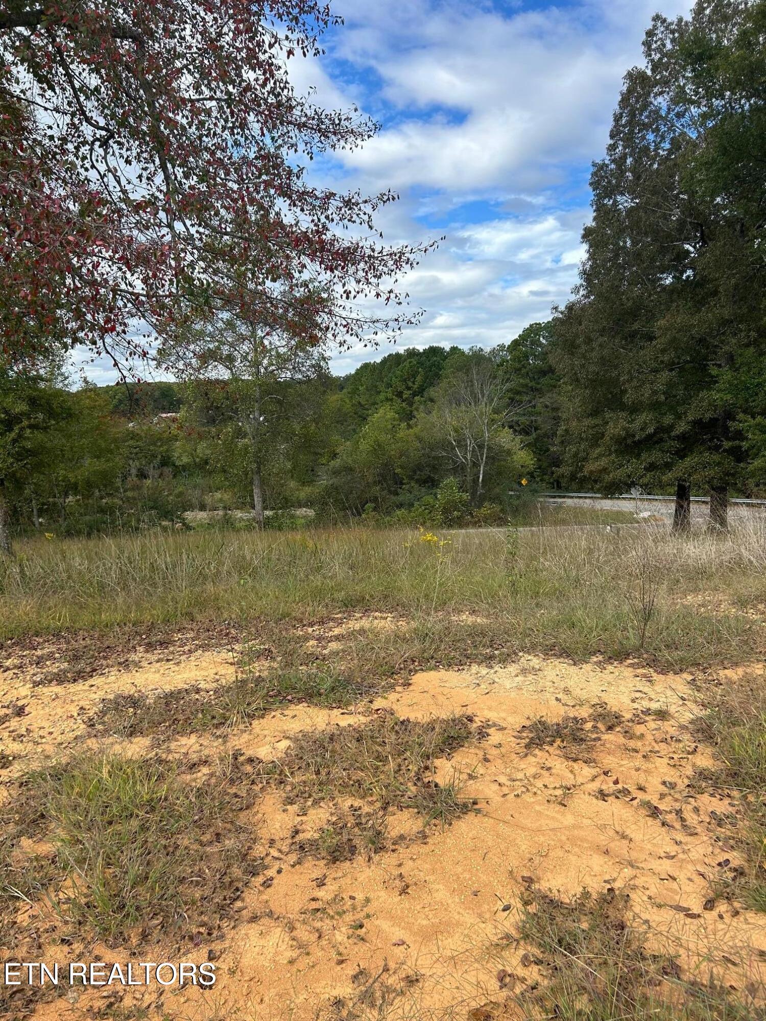 Lot 2 A Highway 39 Athens TN 37303