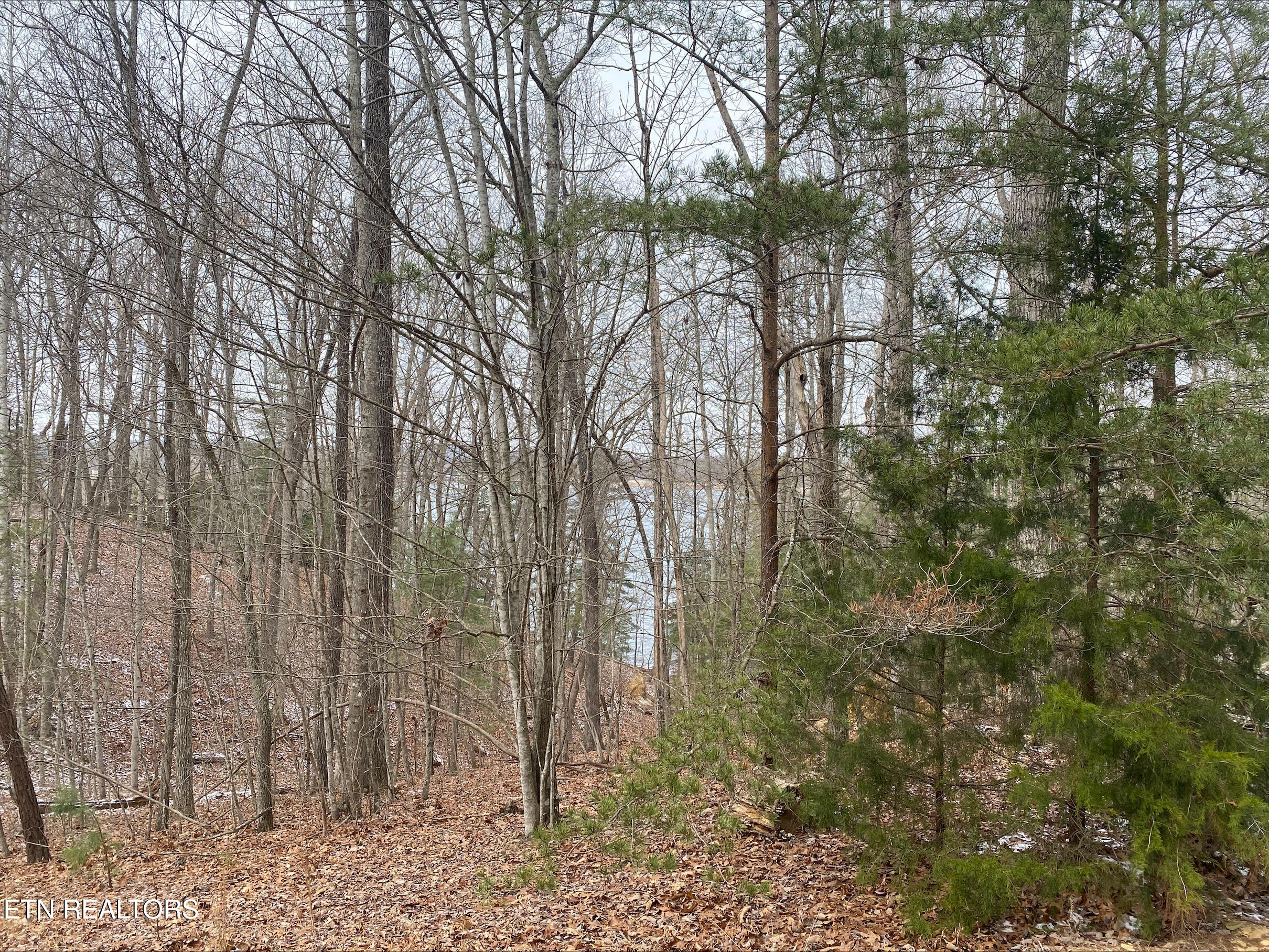 36 Milnor Terrace Fairfield Glade TN 38558