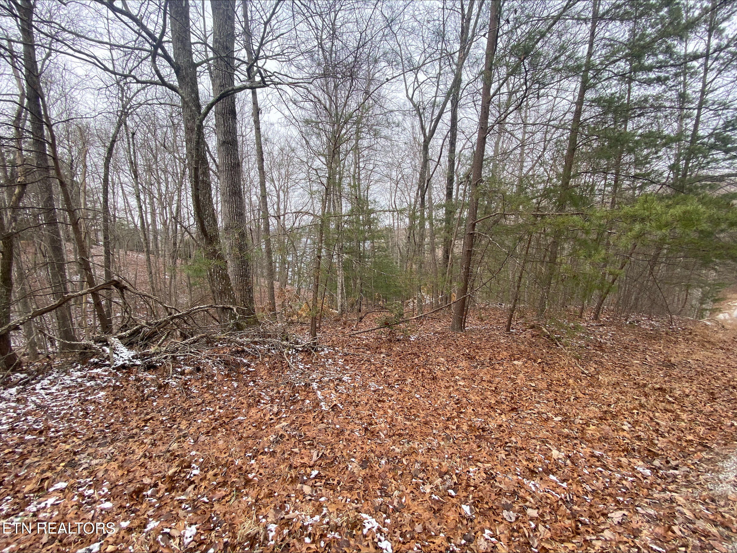 36 Milnor Terrace Fairfield Glade TN 38558