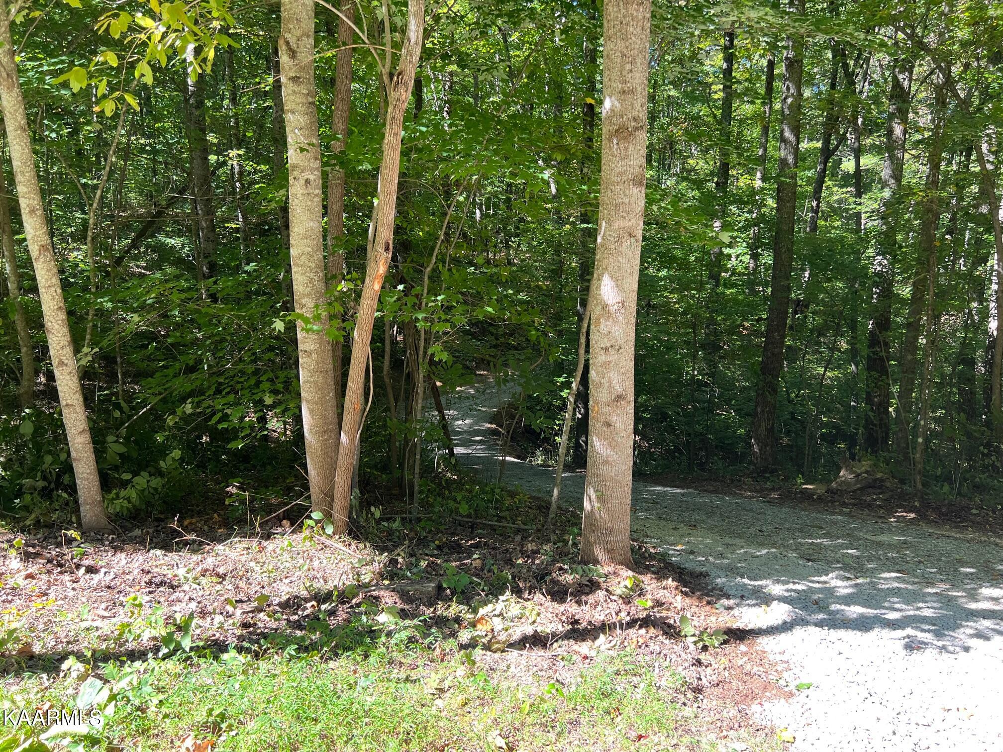 Green Place Monterey TN 38574