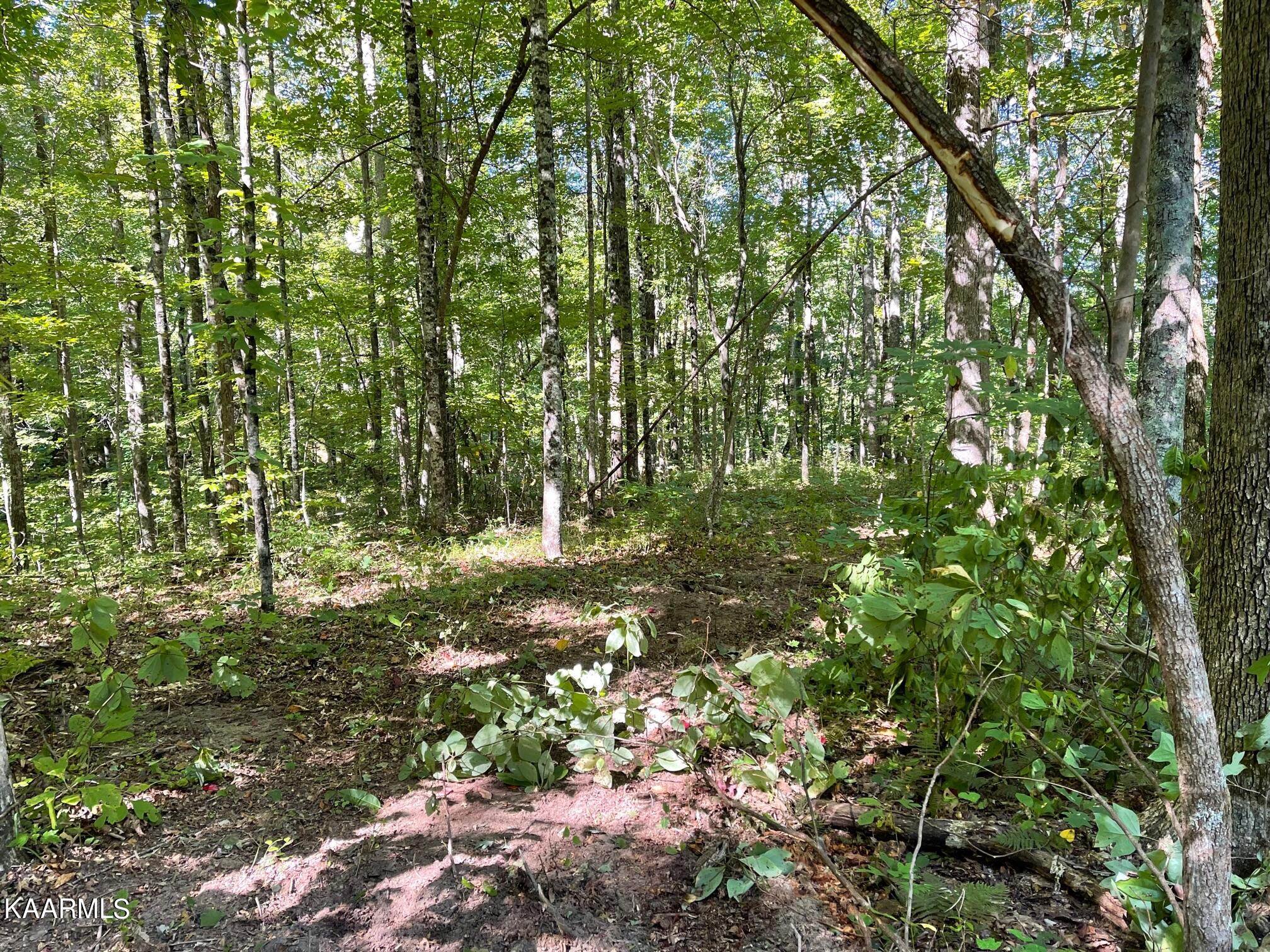Green Place Monterey TN 38574