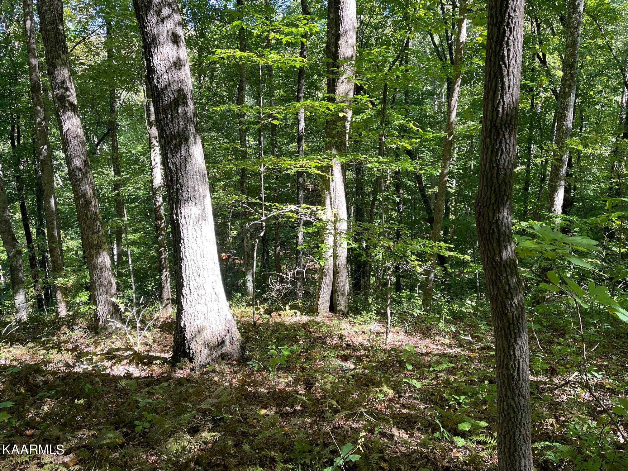 Green Place Monterey TN 38574