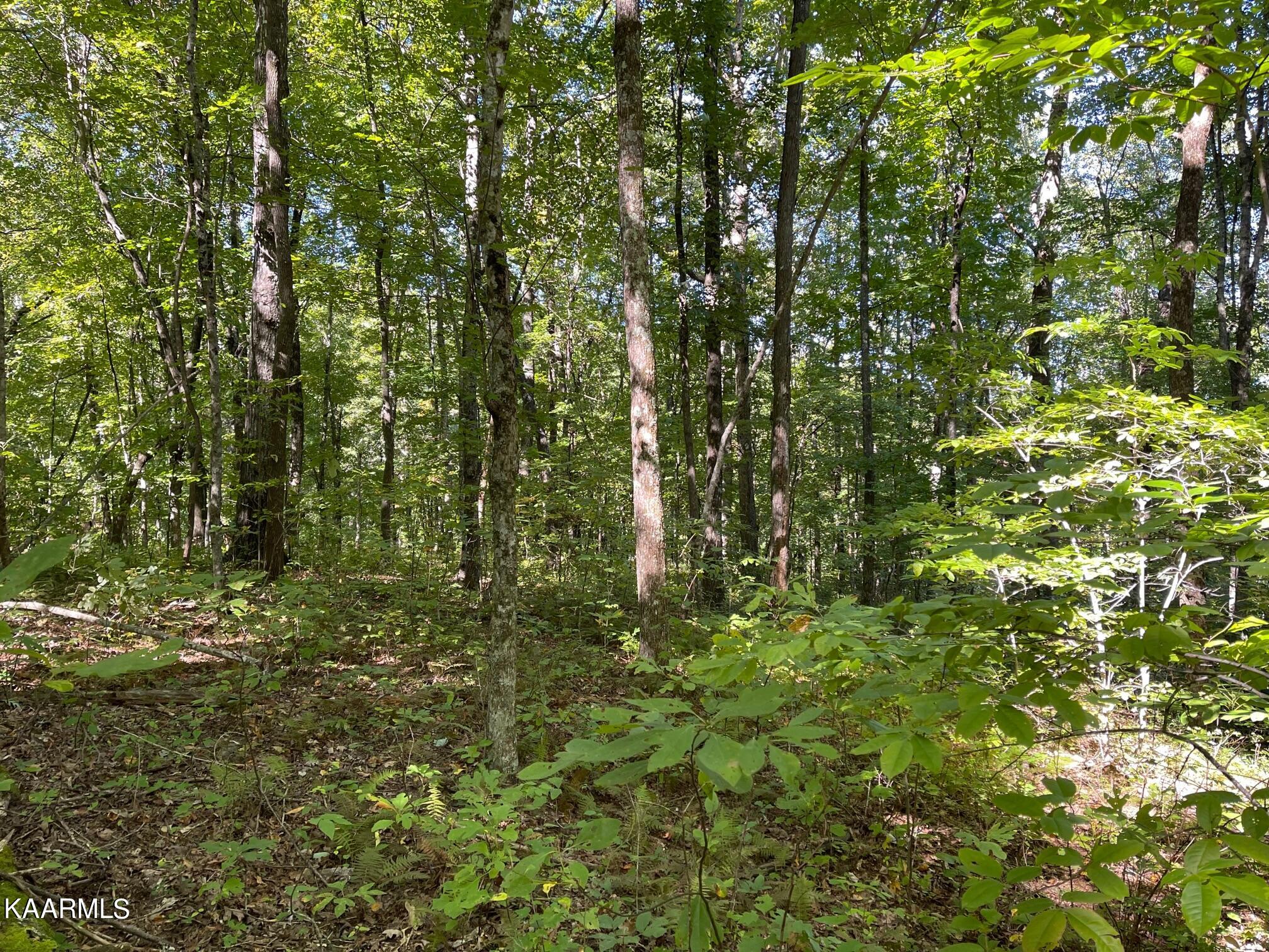 Green Place Monterey TN 38574