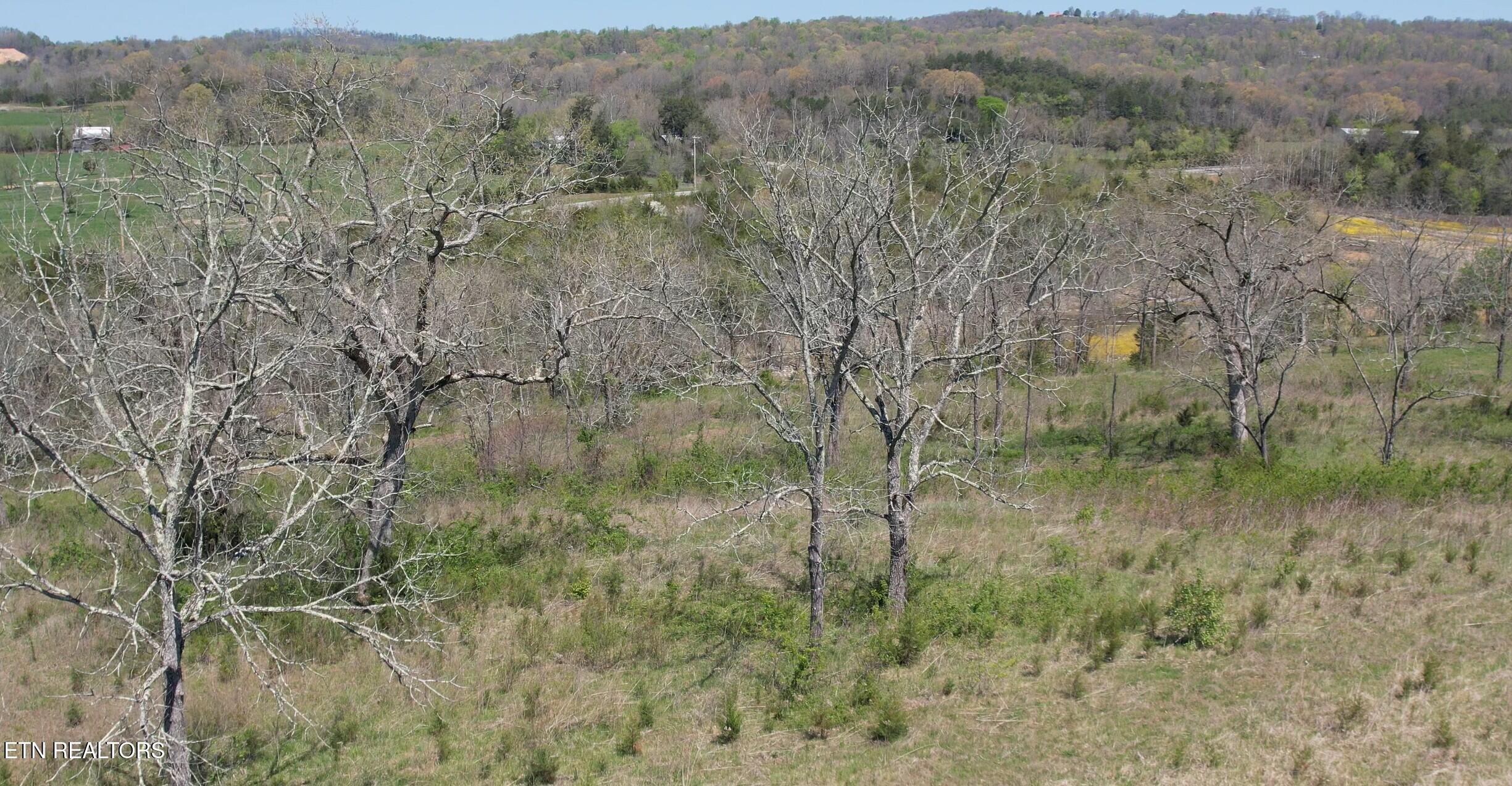 Lot 4 Waterfront Knoll Road Sharps Chapel TN 37866