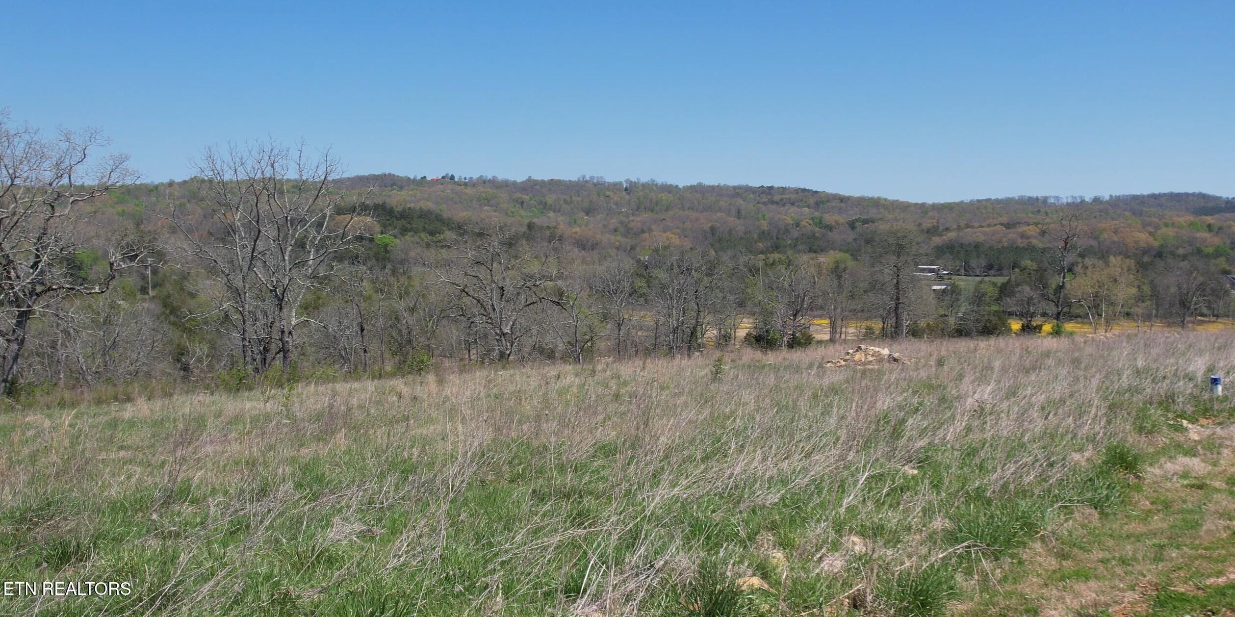 Lot 4 Waterfront Knoll Road Sharps Chapel TN 37866
