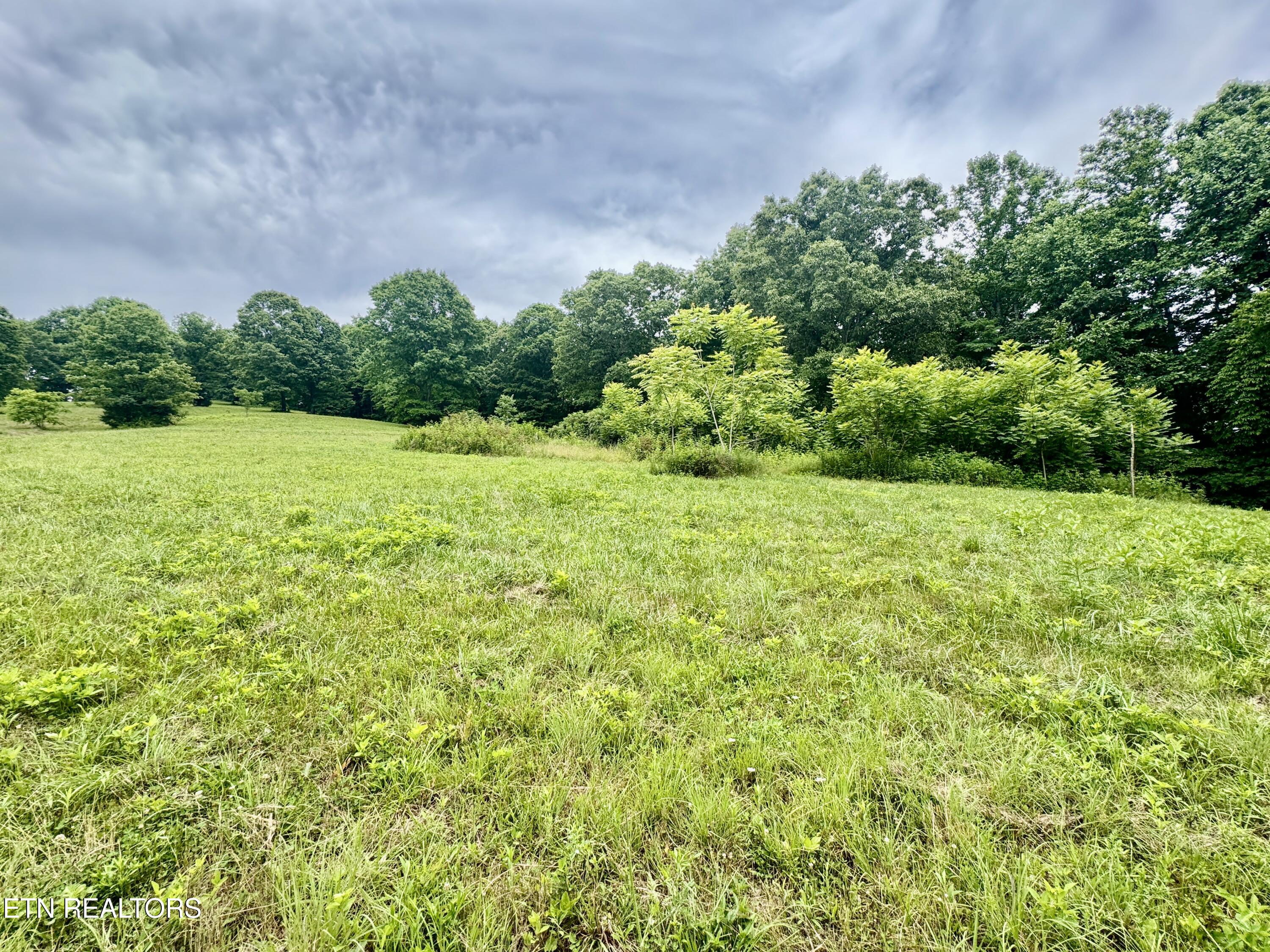 378 Johnson Hollow Road New Tazewell TN 37825