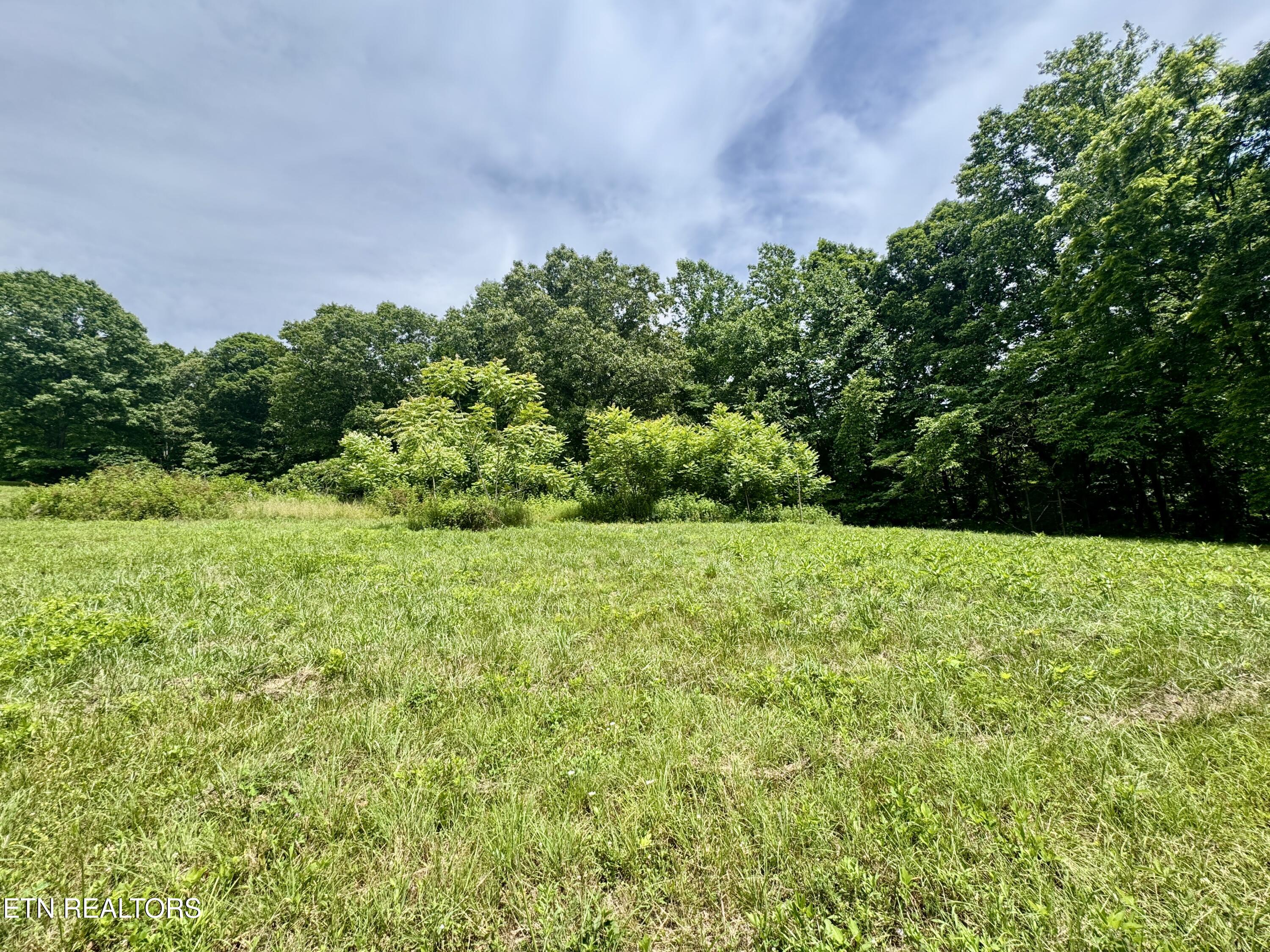 378 Johnson Hollow Road New Tazewell TN 37825