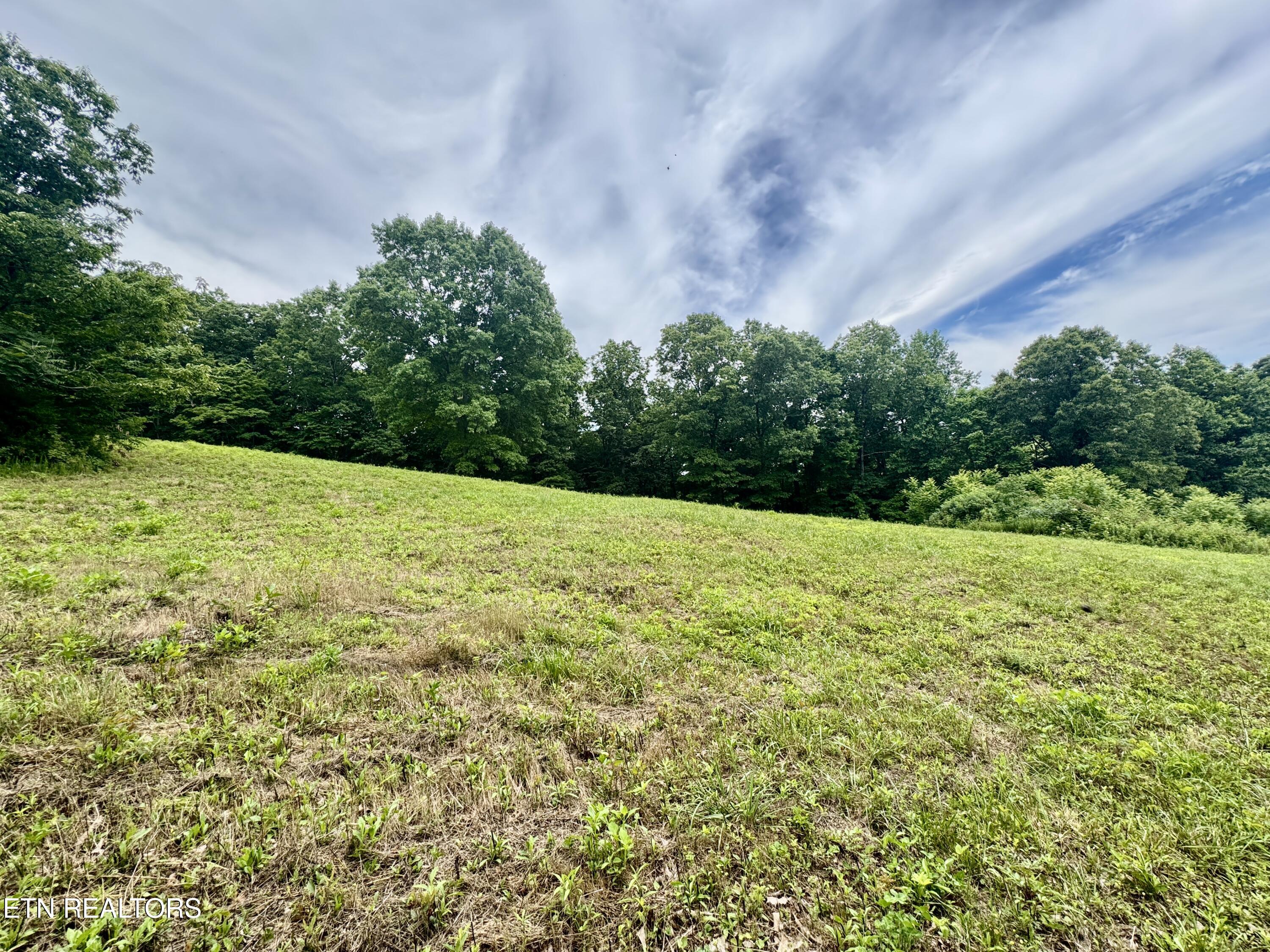 378 Johnson Hollow Road New Tazewell TN 37825