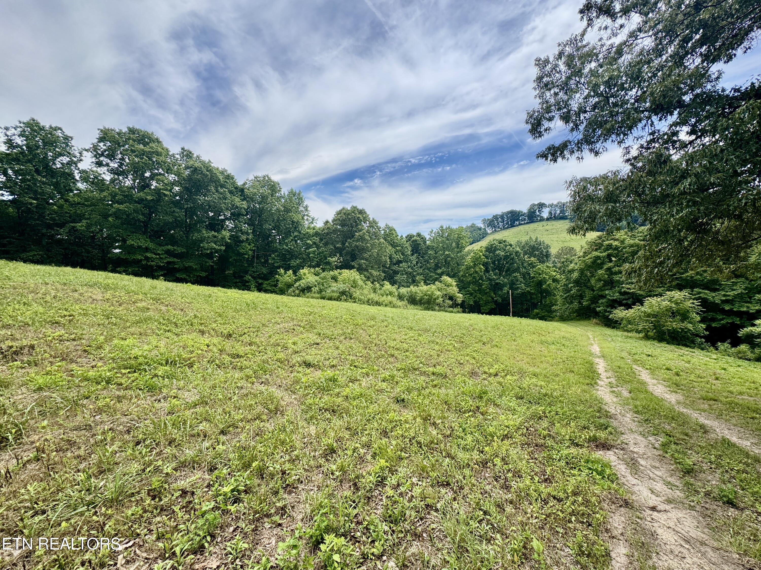 378 Johnson Hollow Road New Tazewell TN 37825