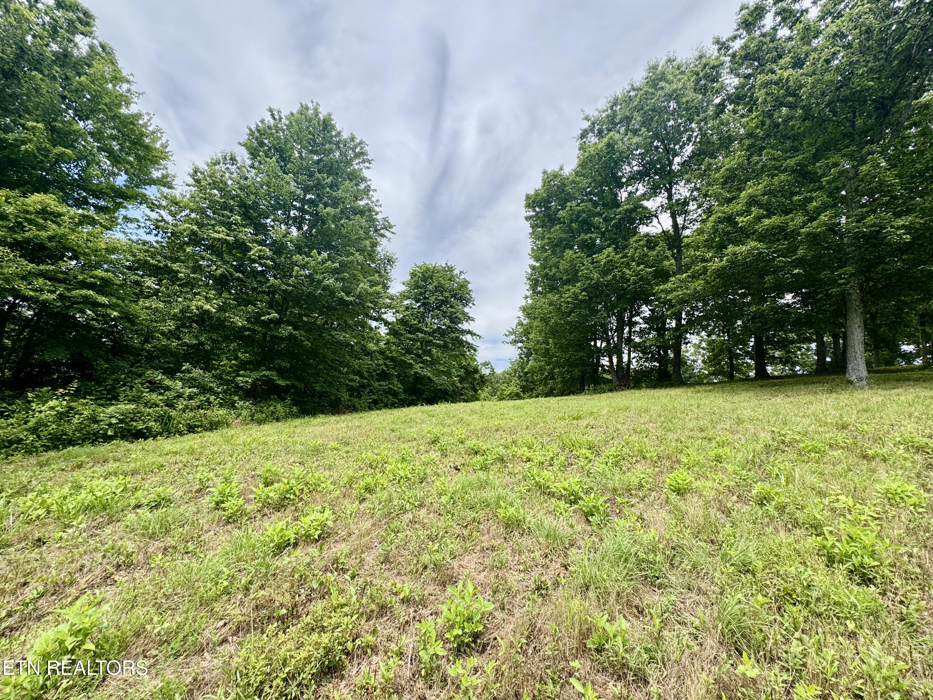 378 Johnson Hollow Road New Tazewell TN 37825