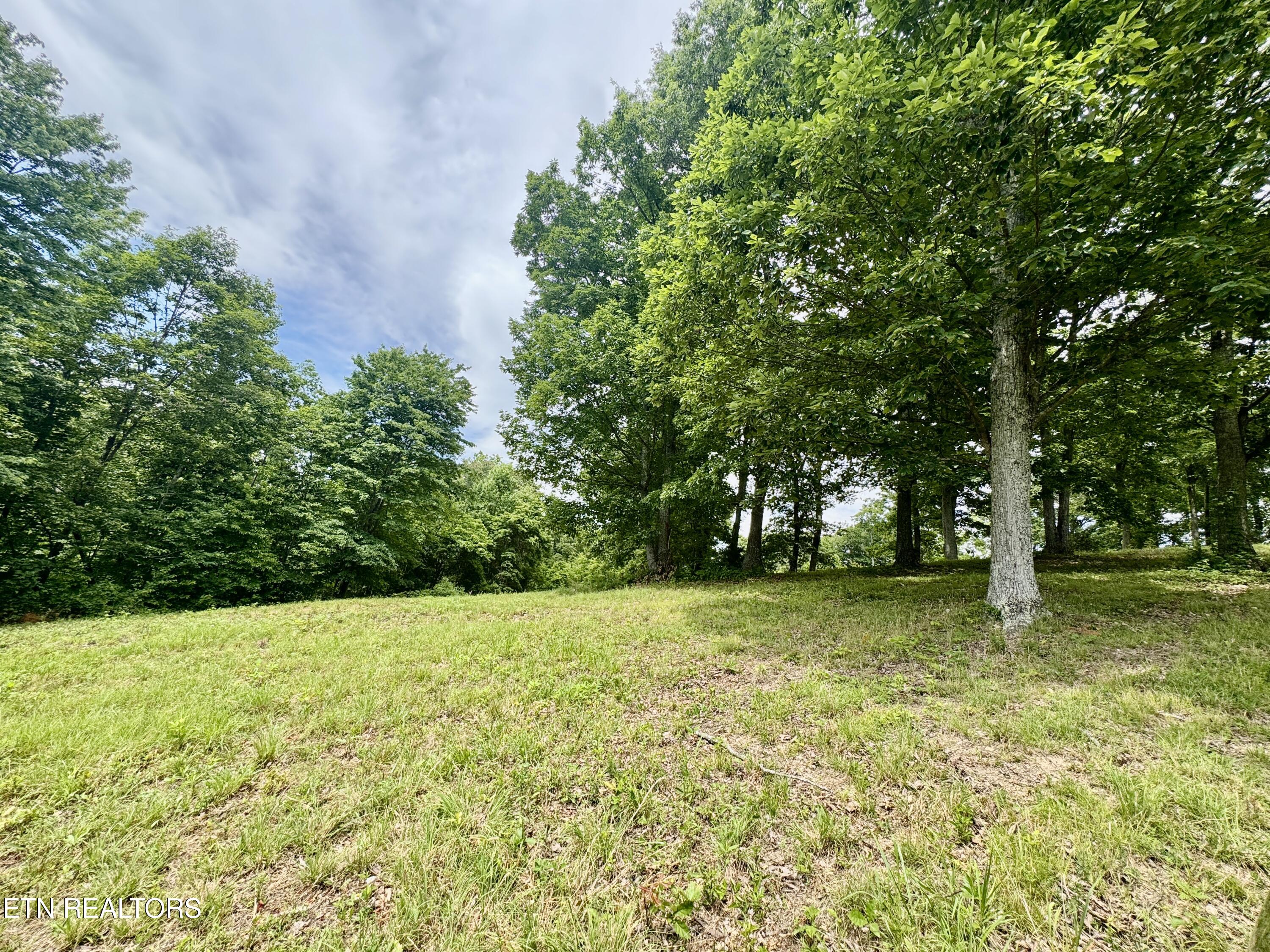 378 Johnson Hollow Road New Tazewell TN 37825