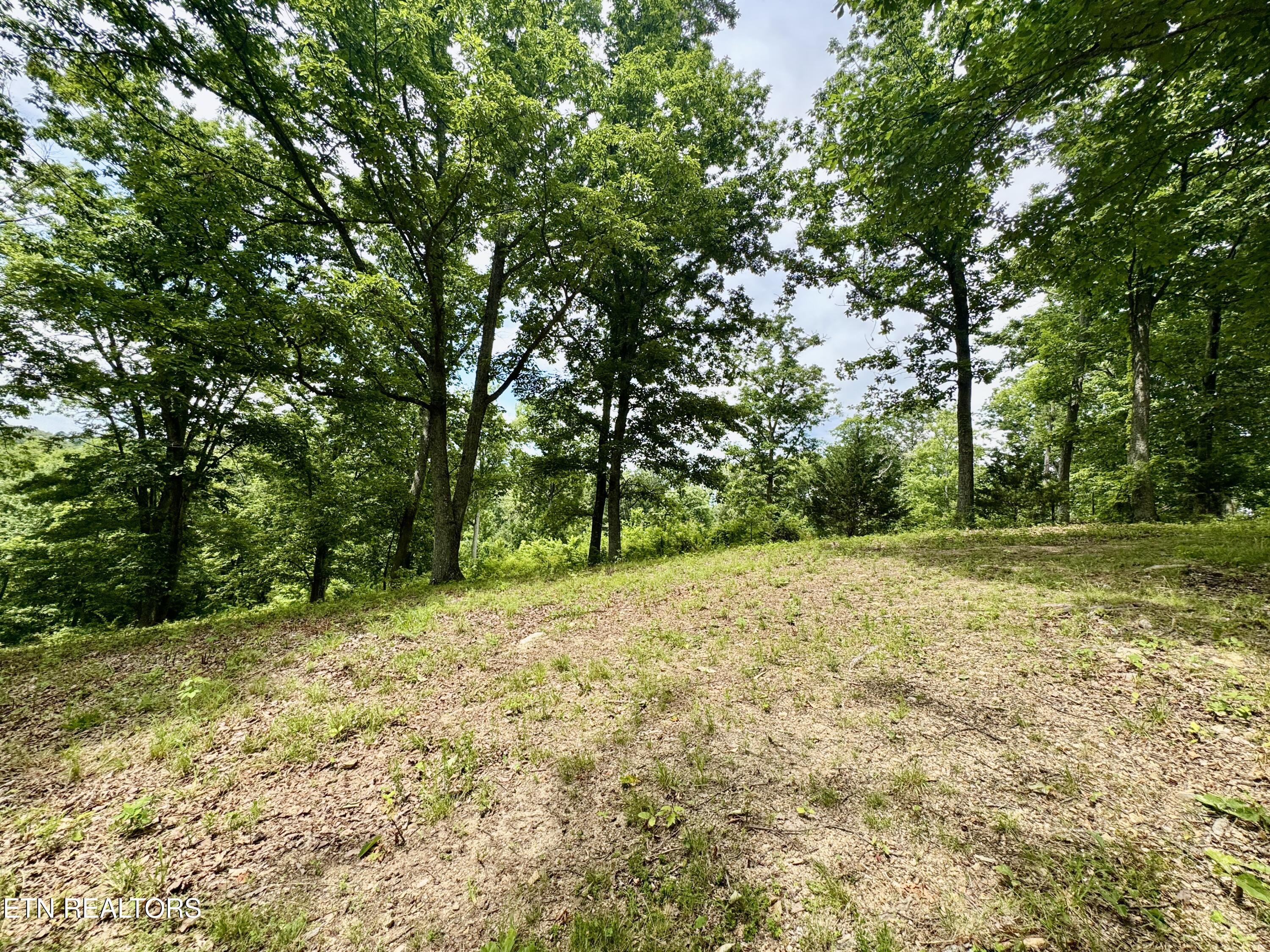 378 Johnson Hollow Road New Tazewell TN 37825