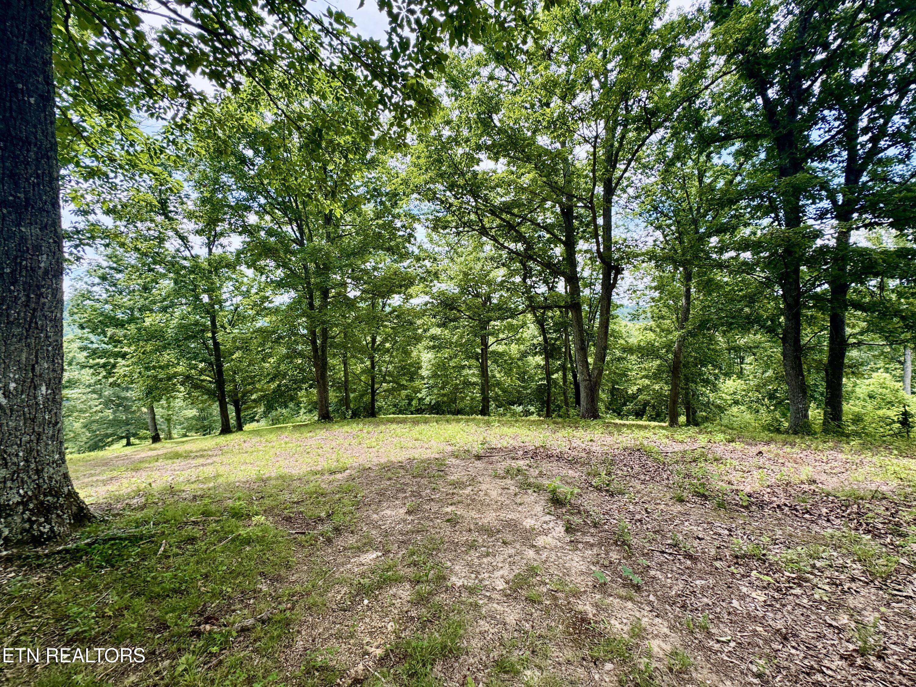 378 Johnson Hollow Road New Tazewell TN 37825