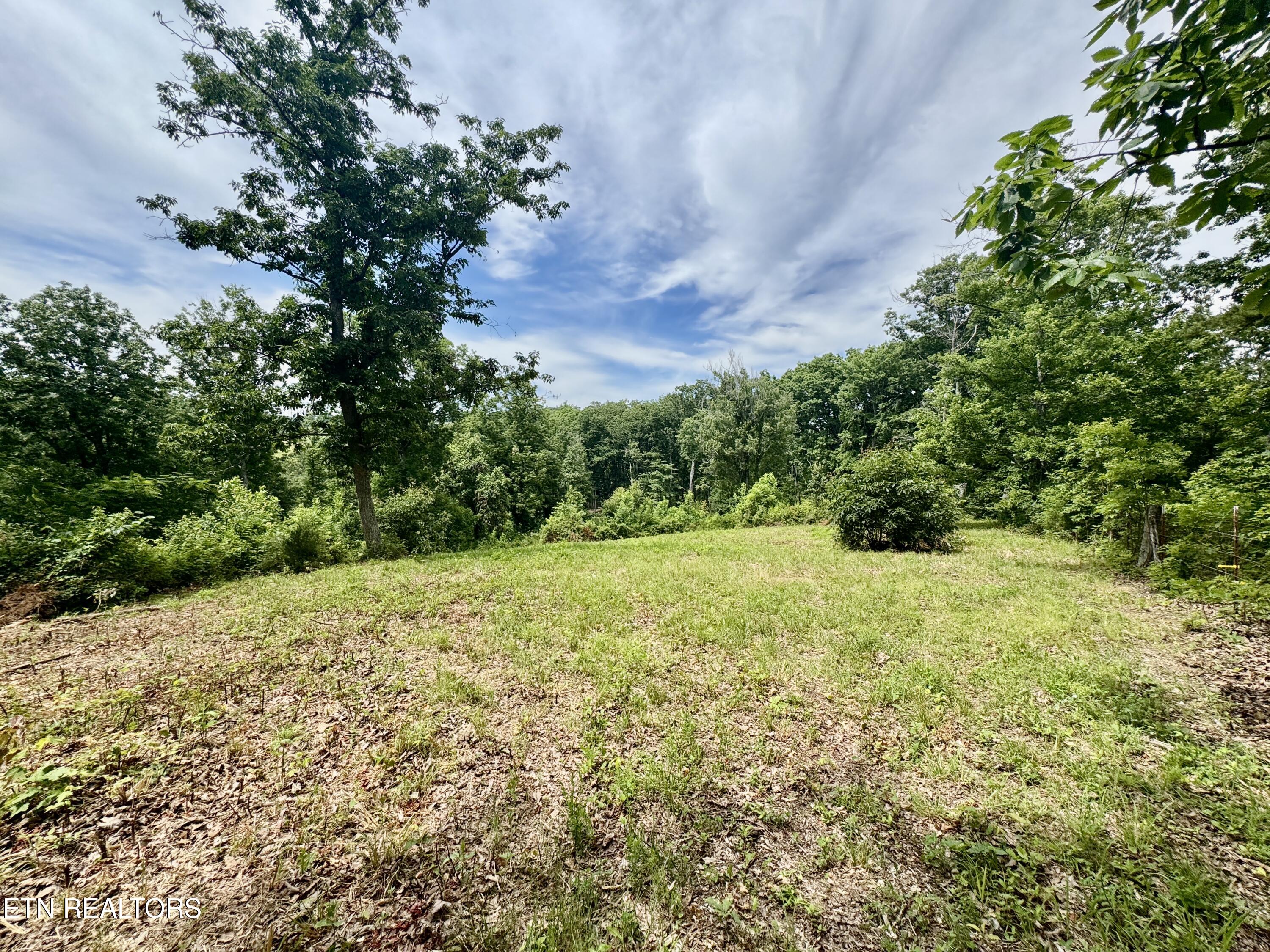 378 Johnson Hollow Road New Tazewell TN 37825