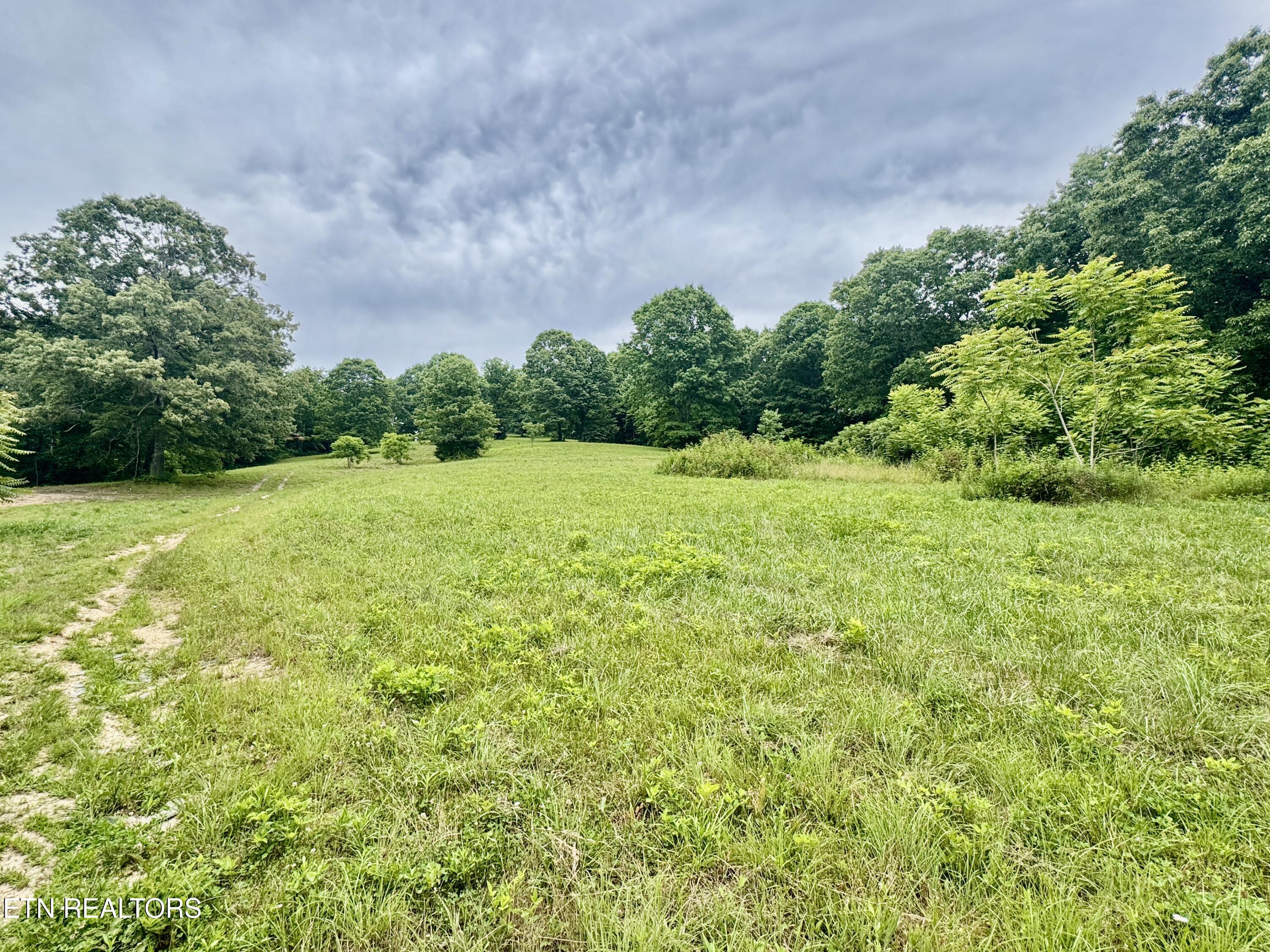 378 Johnson Hollow Road New Tazewell TN 37825