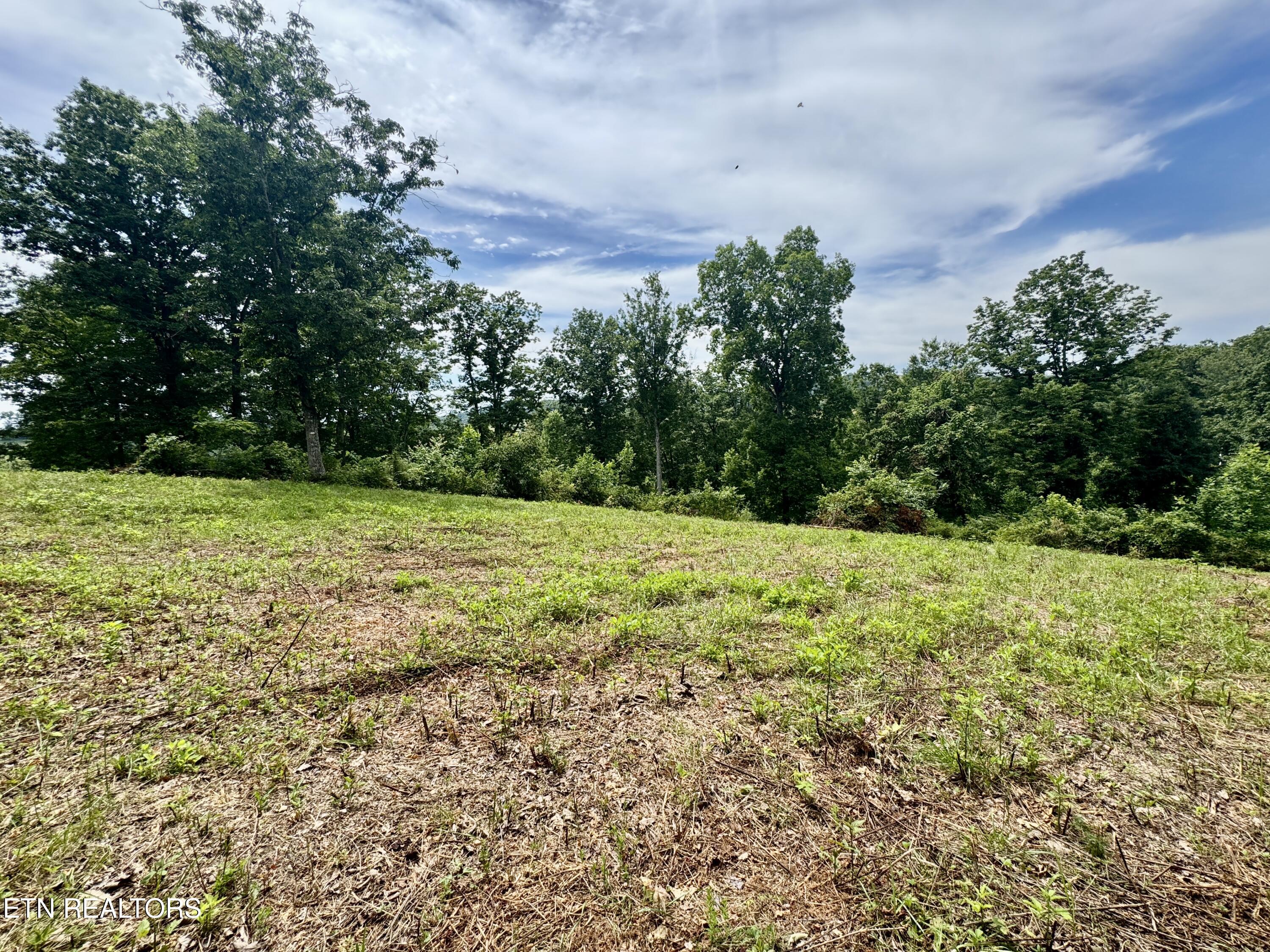 378 Johnson Hollow Road New Tazewell TN 37825