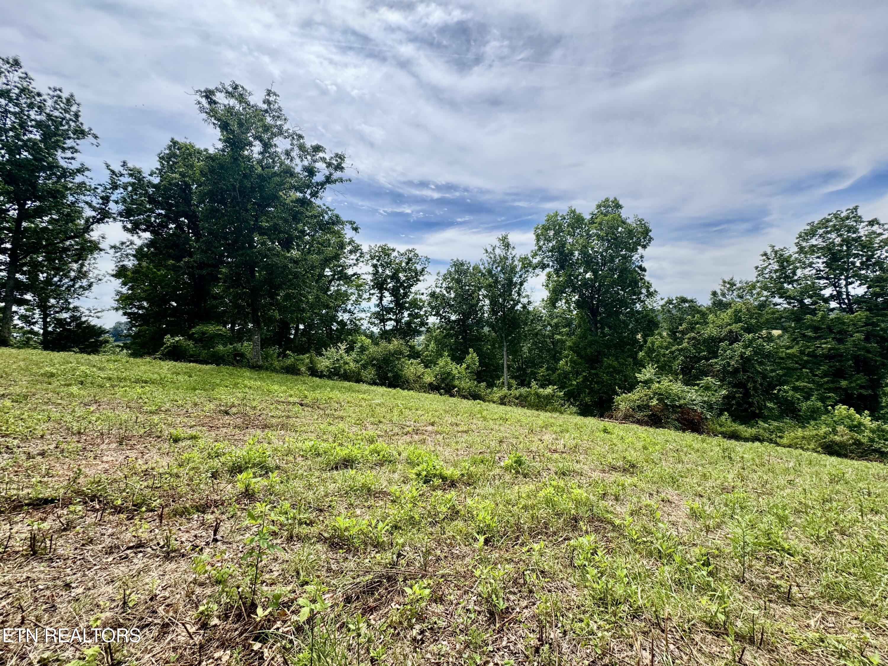 378 Johnson Hollow Road New Tazewell TN 37825