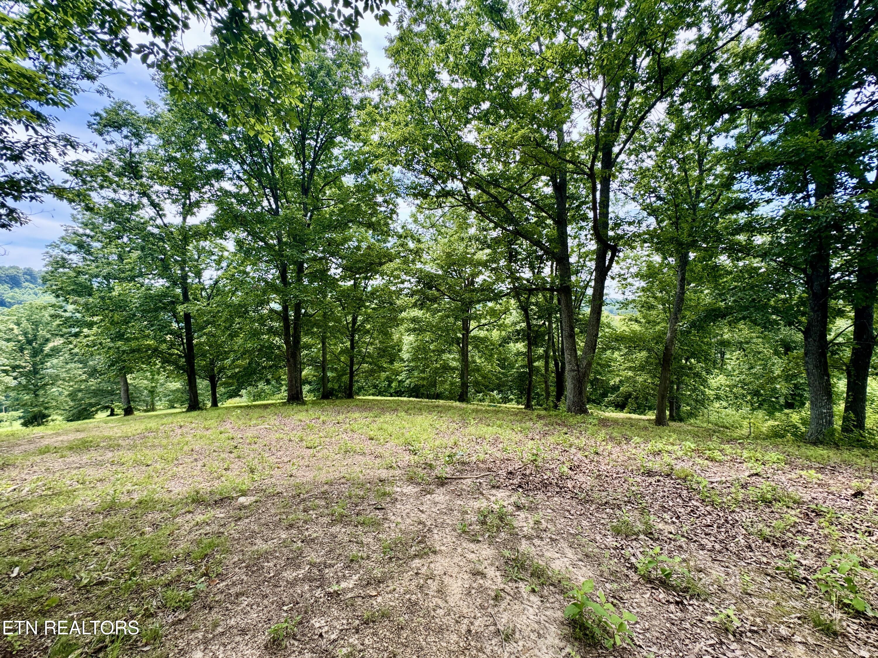 378 Johnson Hollow Road New Tazewell TN 37825
