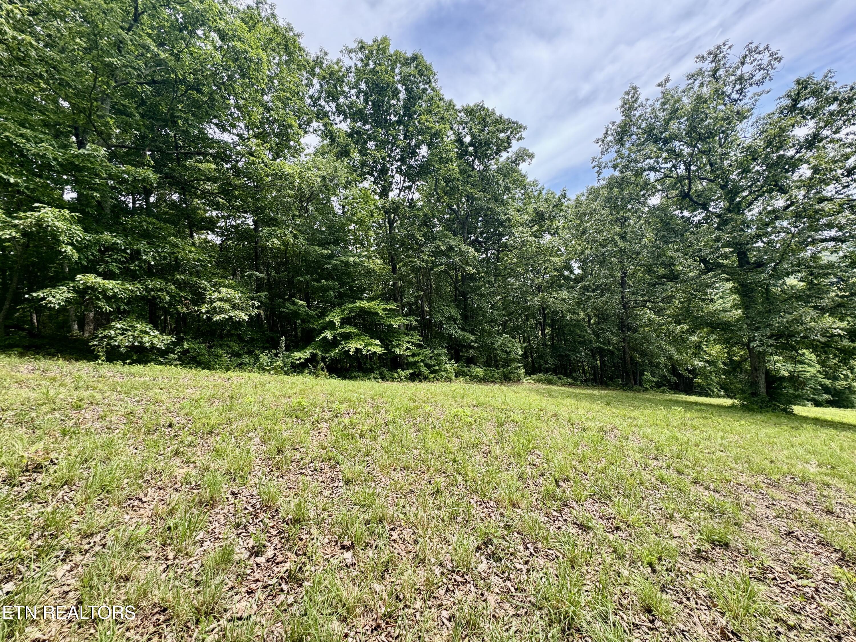 378 Johnson Hollow Road New Tazewell TN 37825