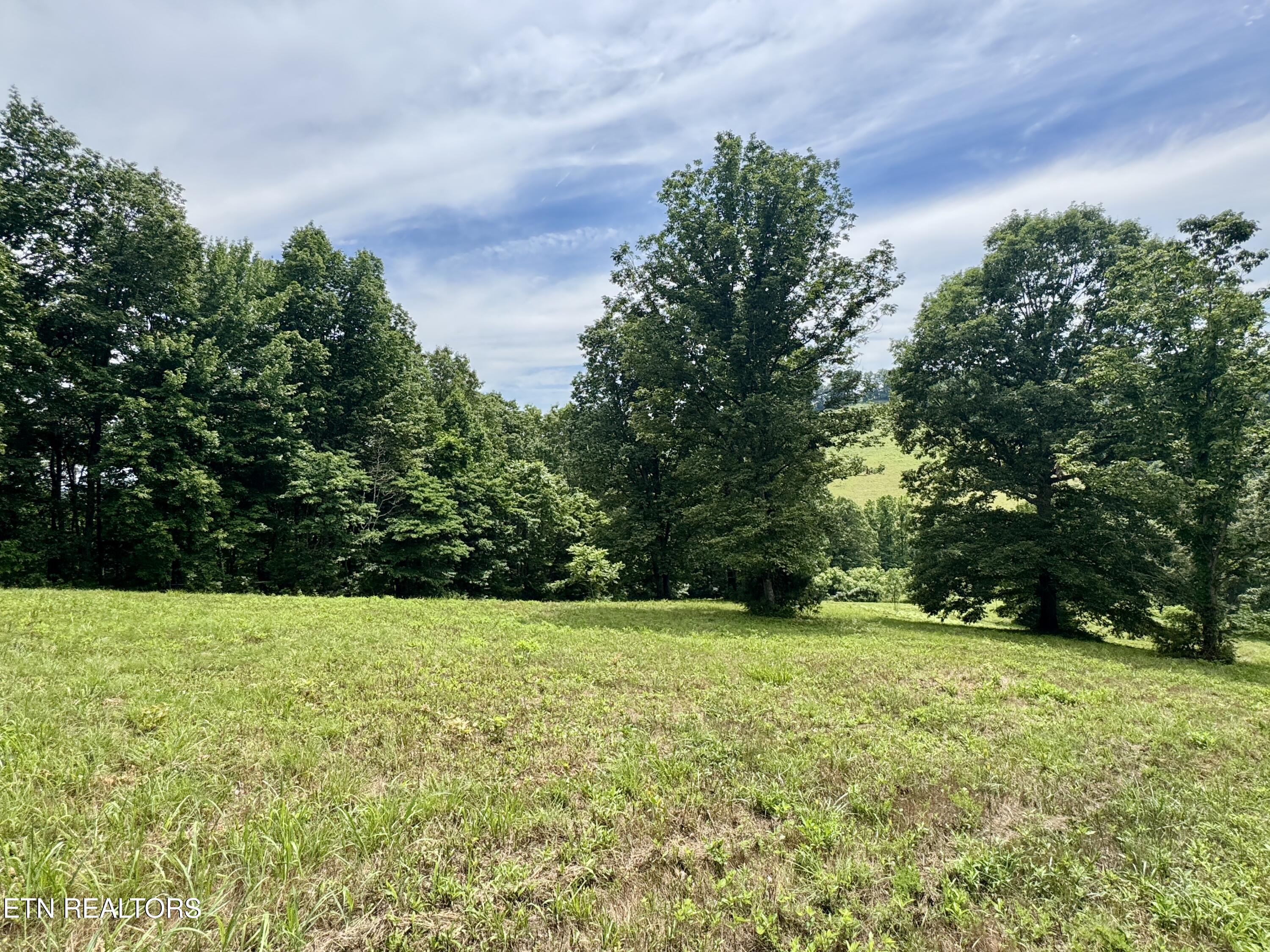378 Johnson Hollow Road New Tazewell TN 37825