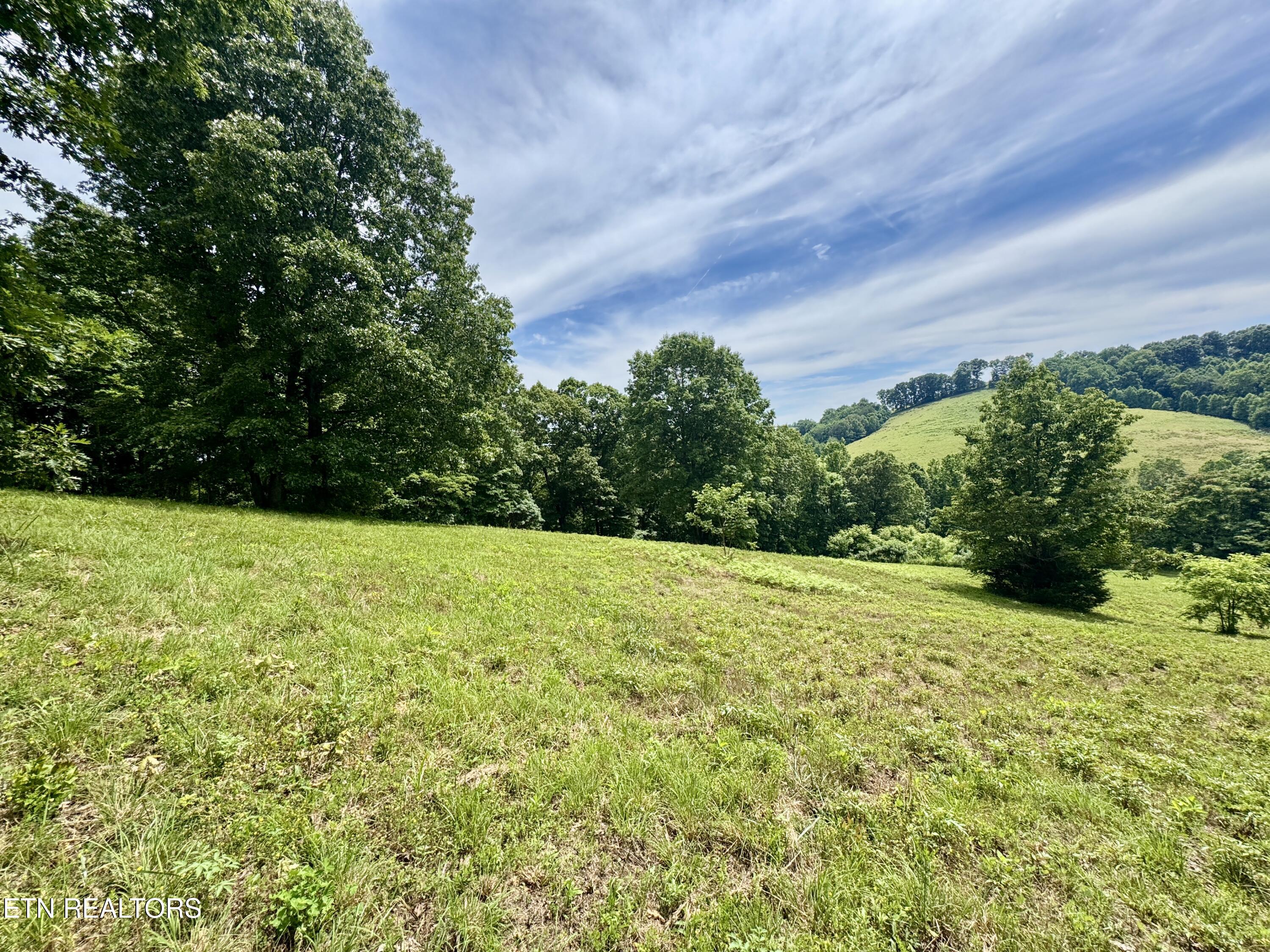 378 Johnson Hollow Road New Tazewell TN 37825