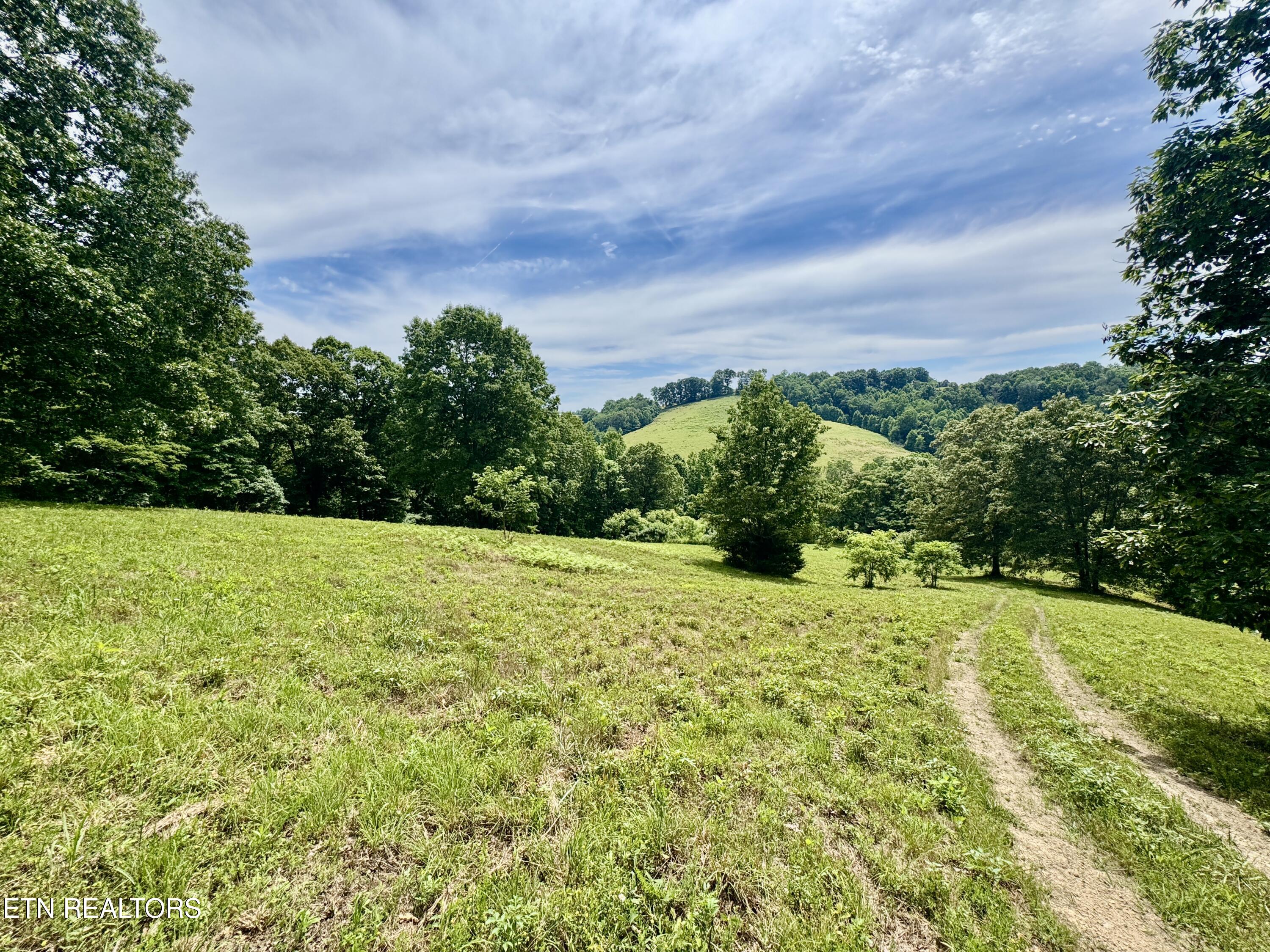 378 Johnson Hollow Road New Tazewell TN 37825