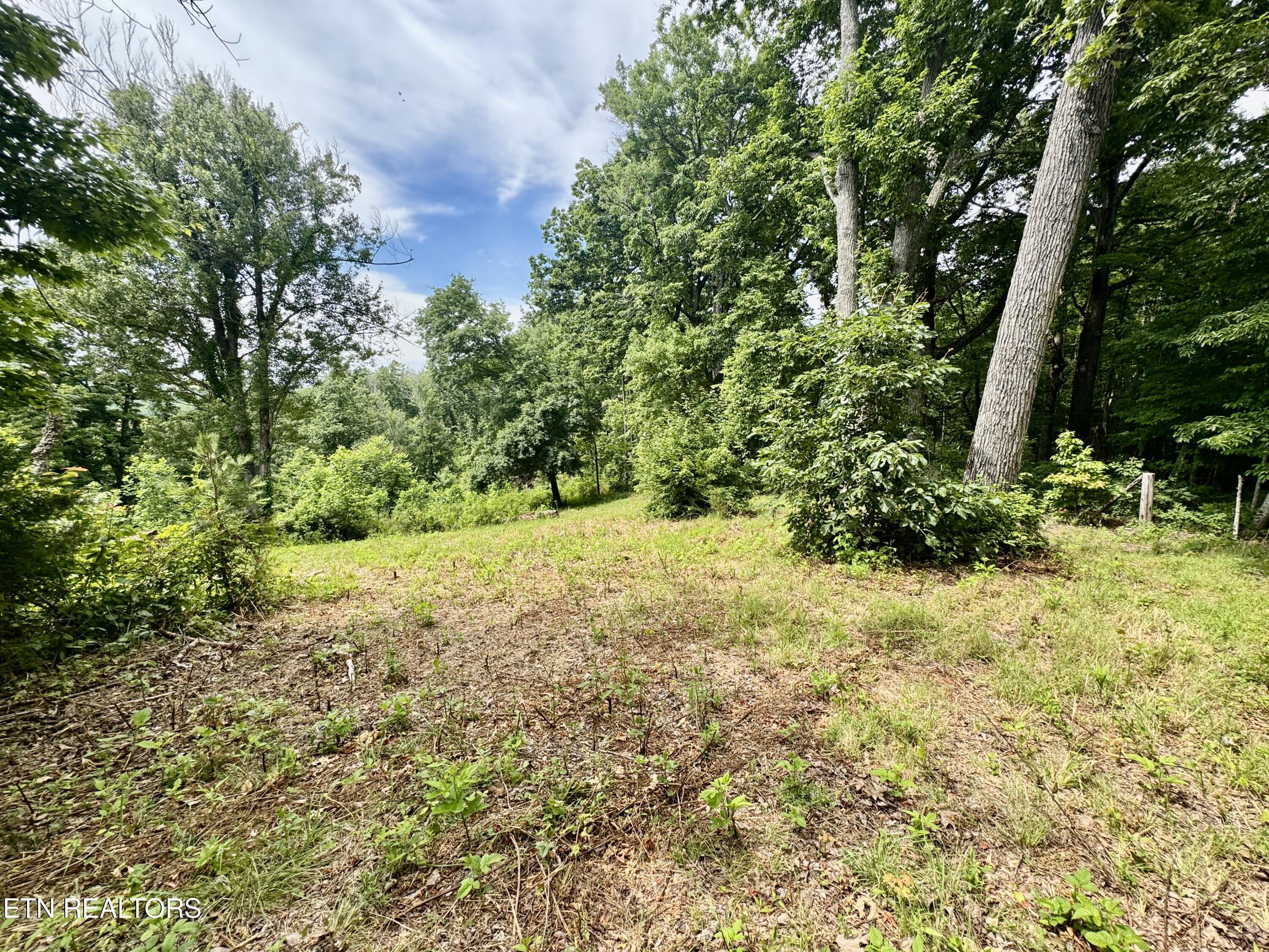 378 Johnson Hollow Road New Tazewell TN 37825