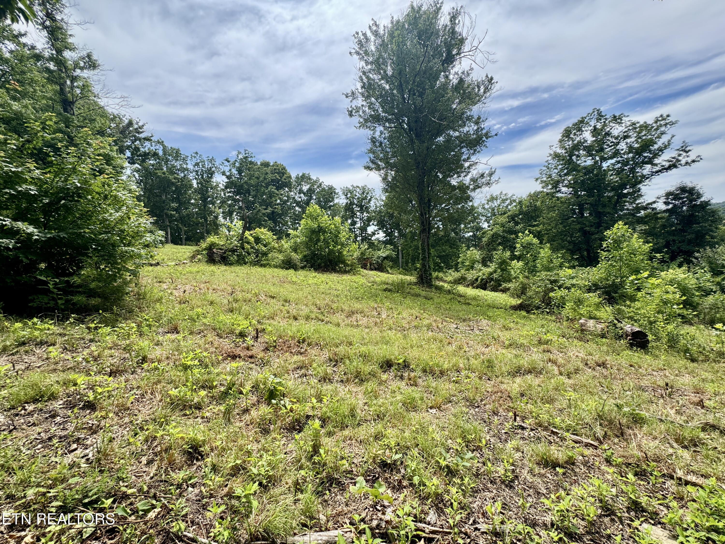 378 Johnson Hollow Road New Tazewell TN 37825