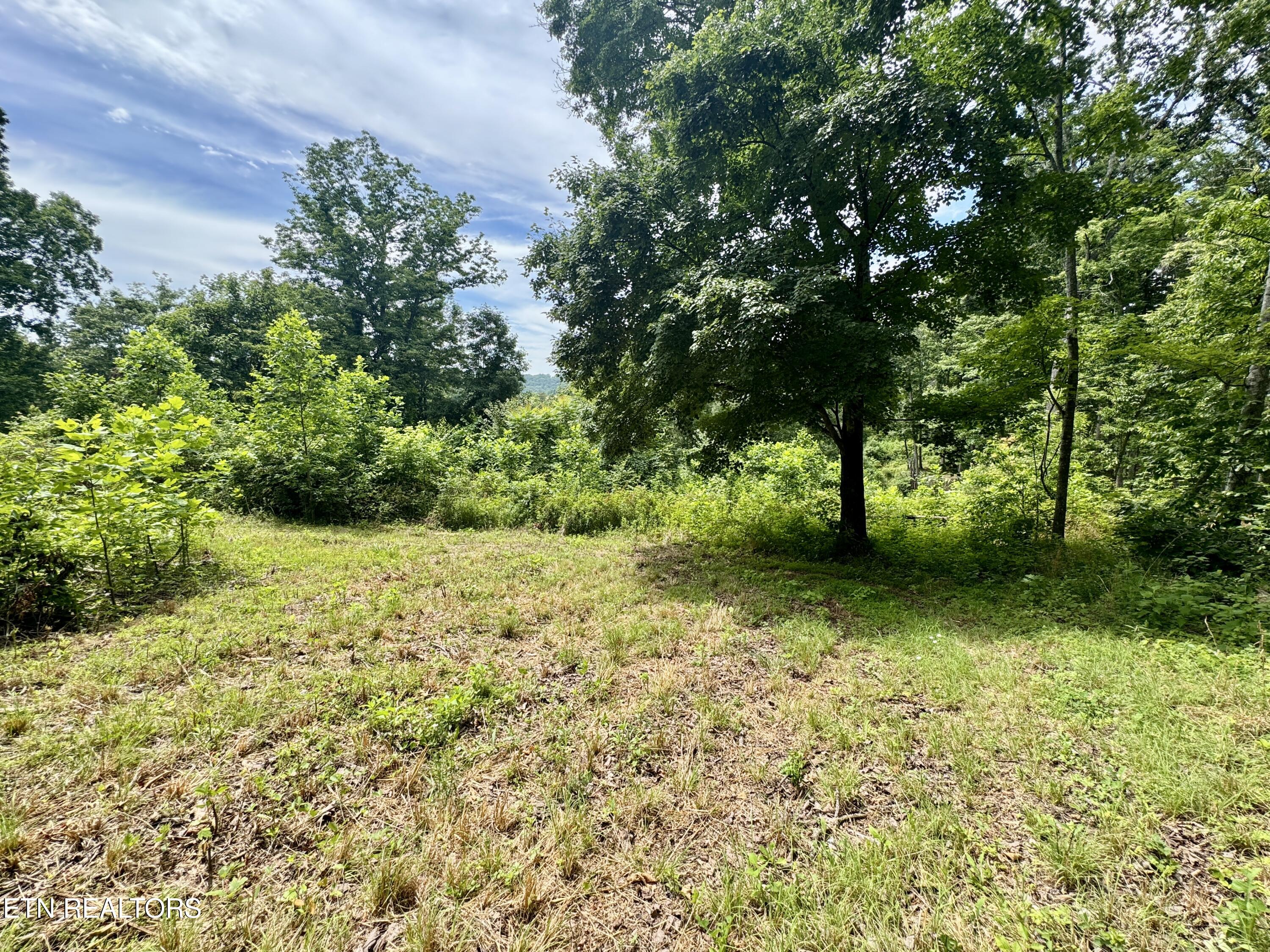 378 Johnson Hollow Road New Tazewell TN 37825
