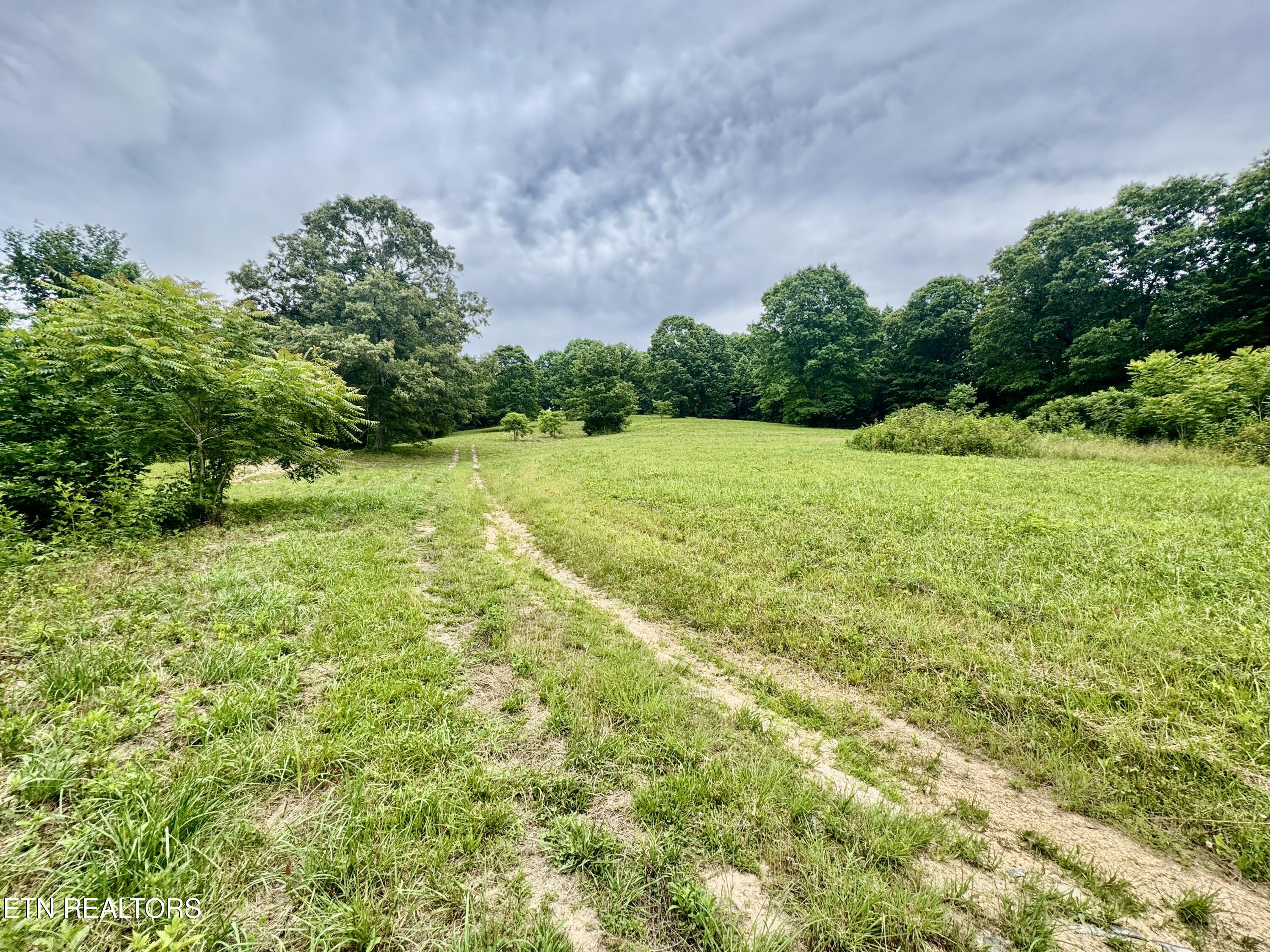 378 Johnson Hollow Road New Tazewell TN 37825