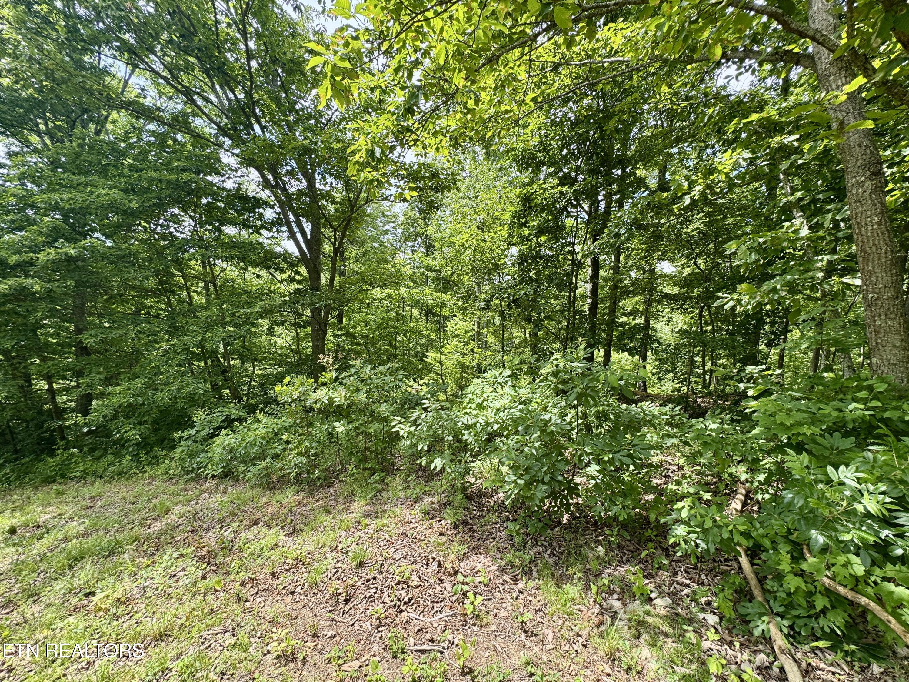 378 Johnson Hollow Road New Tazewell TN 37825