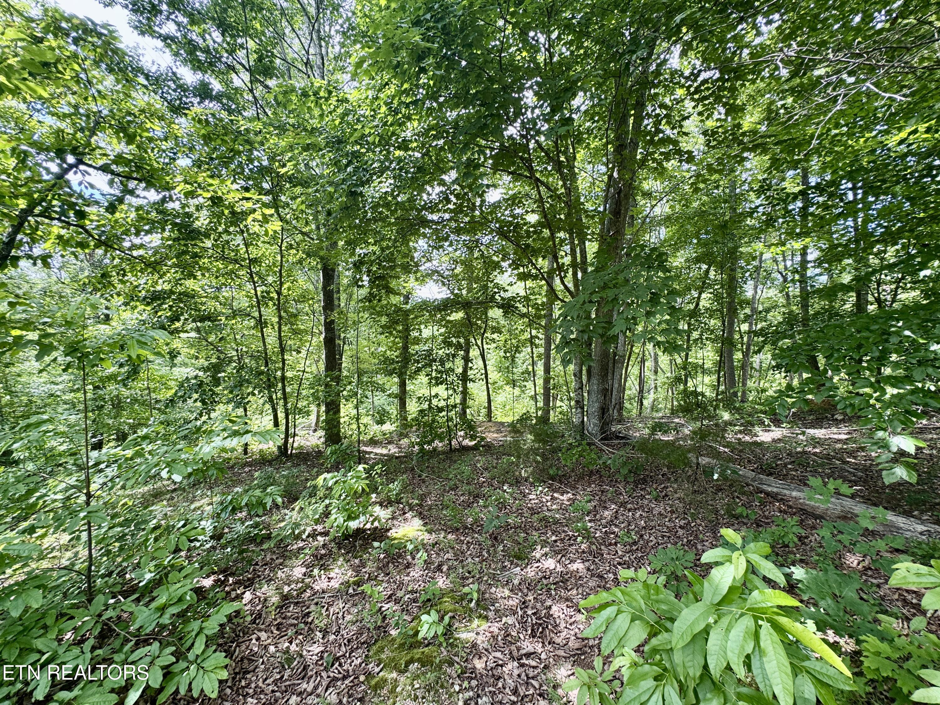 378 Johnson Hollow Road New Tazewell TN 37825