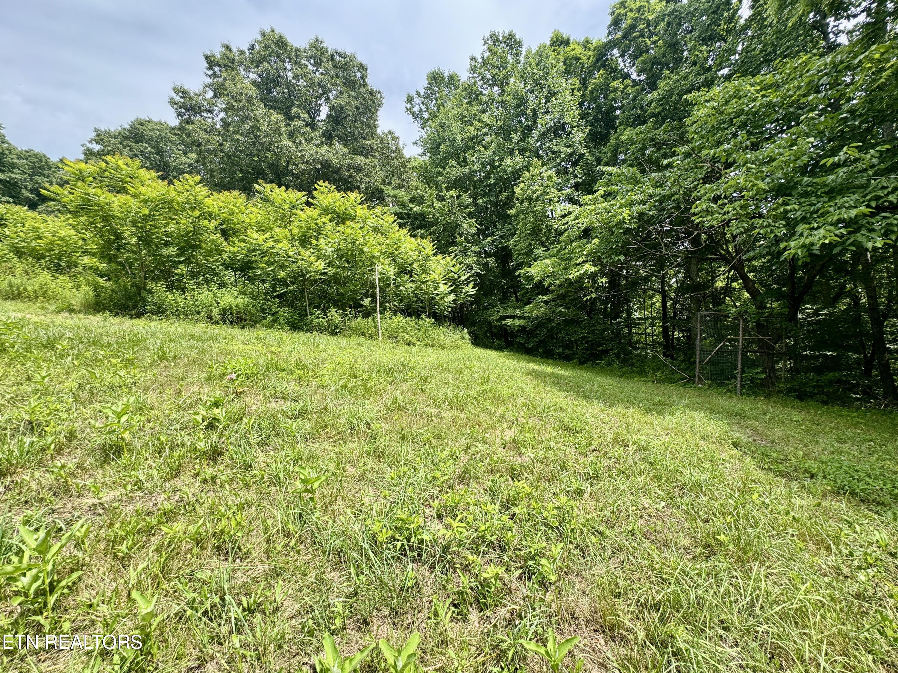 378 Johnson Hollow Road New Tazewell TN 37825