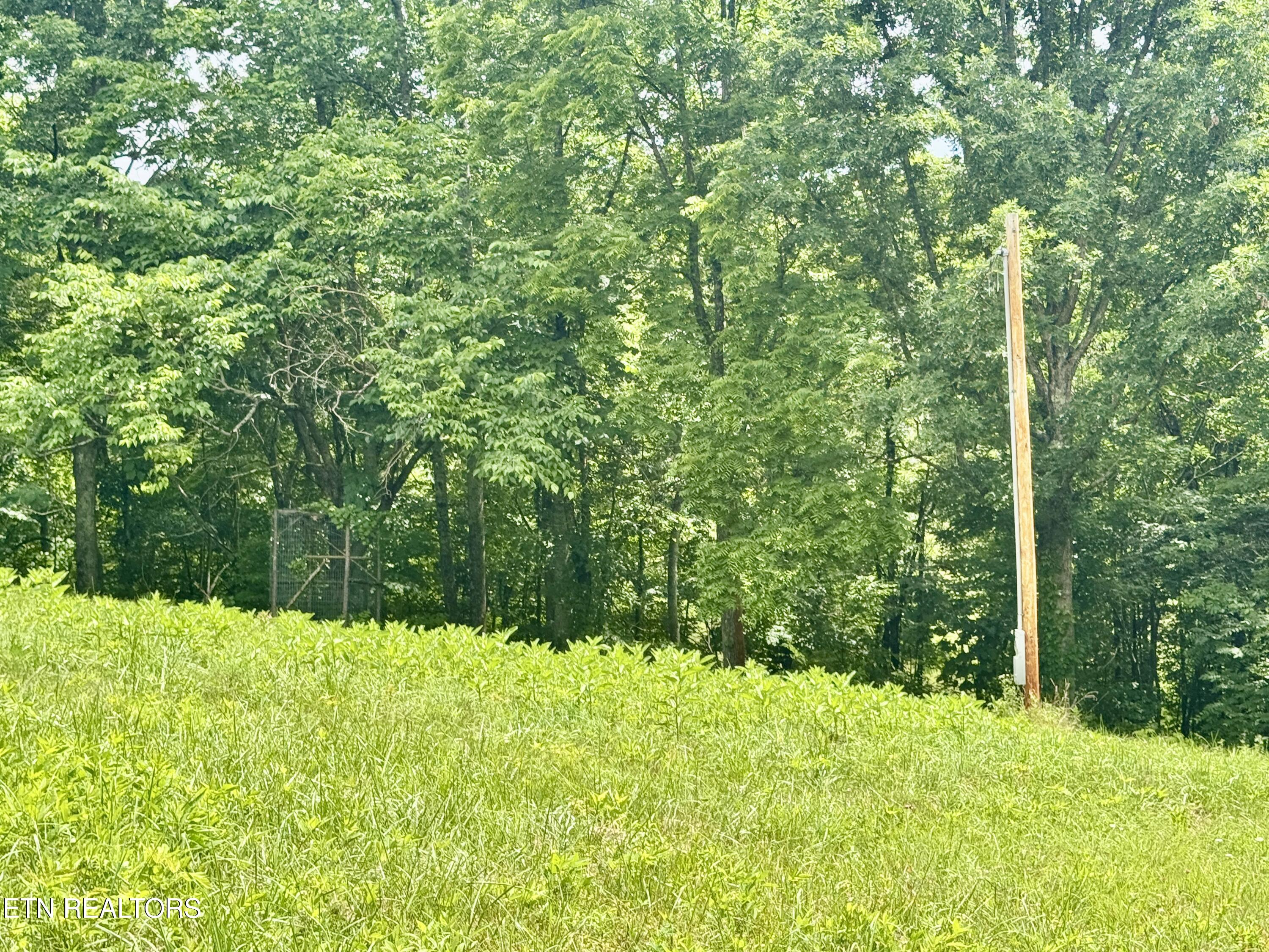 378 Johnson Hollow Road New Tazewell TN 37825