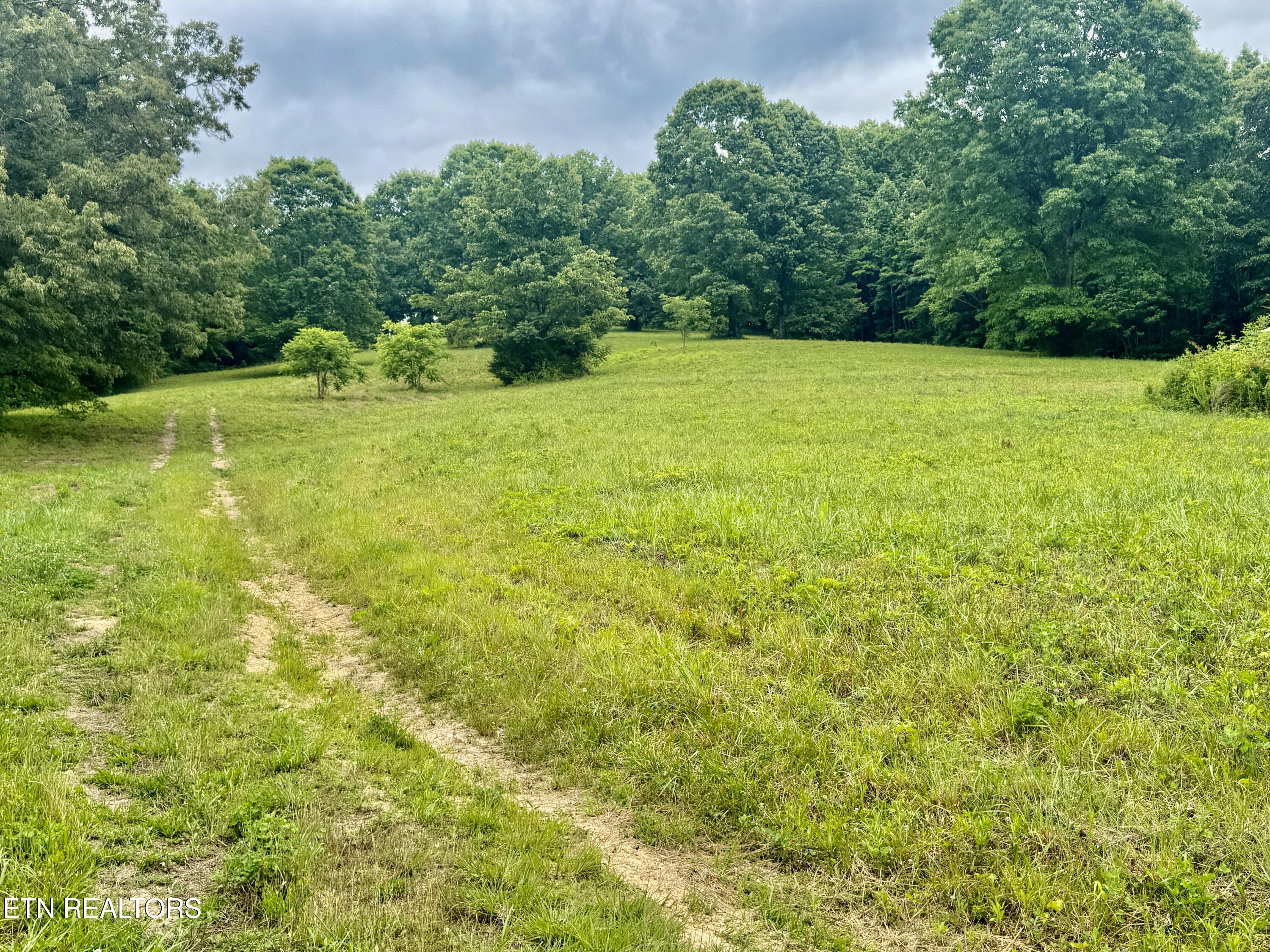 378 Johnson Hollow Road New Tazewell TN 37825