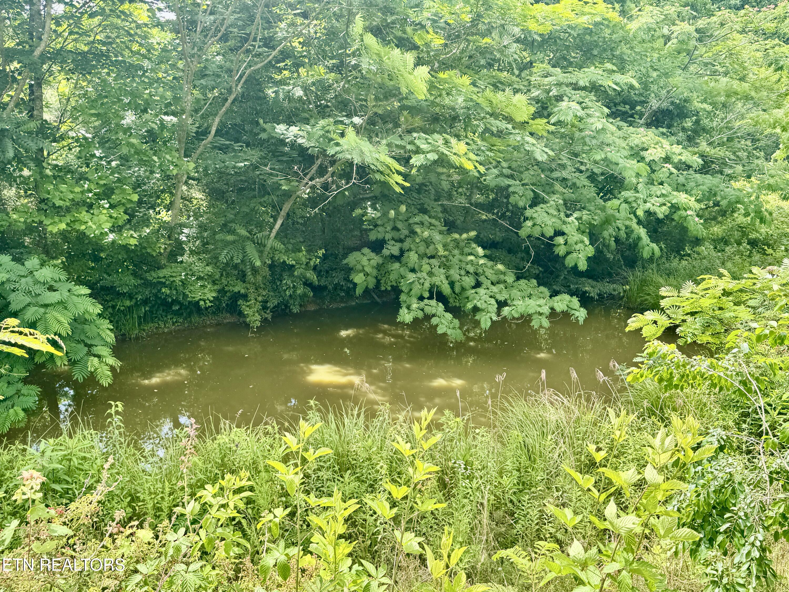 378 Johnson Hollow Road New Tazewell TN 37825