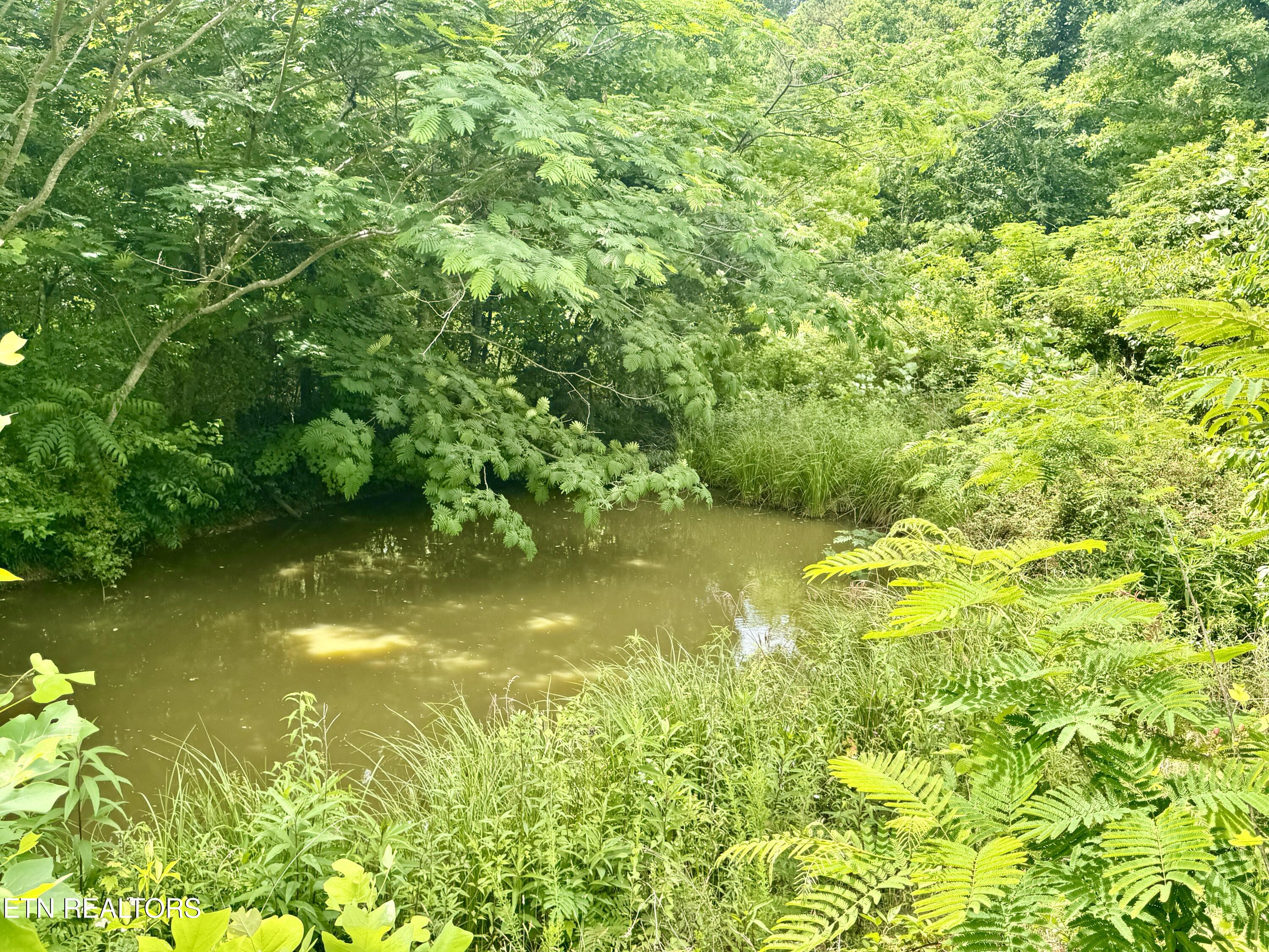 378 Johnson Hollow Road New Tazewell TN 37825