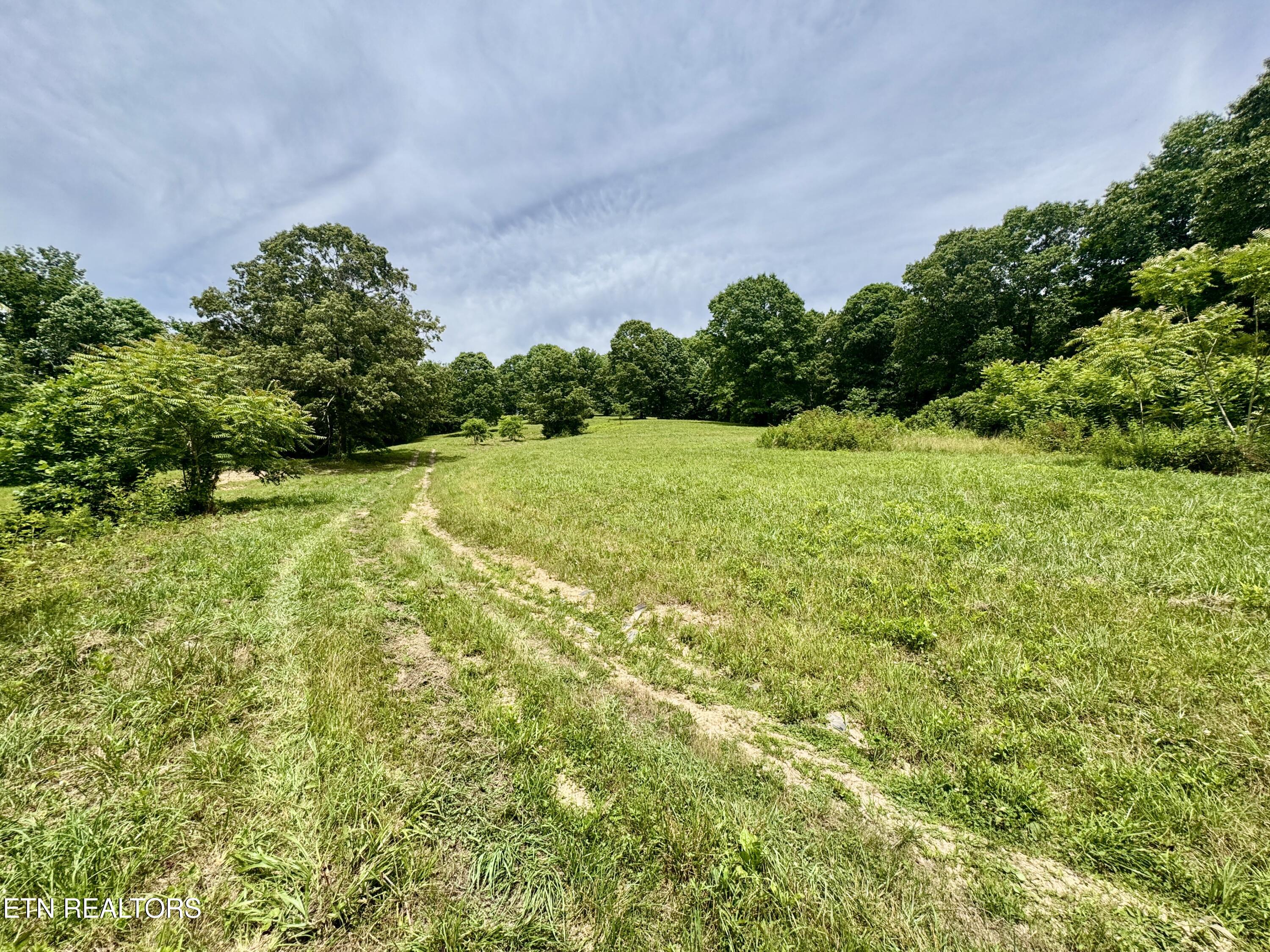 378 Johnson Hollow Road New Tazewell TN 37825
