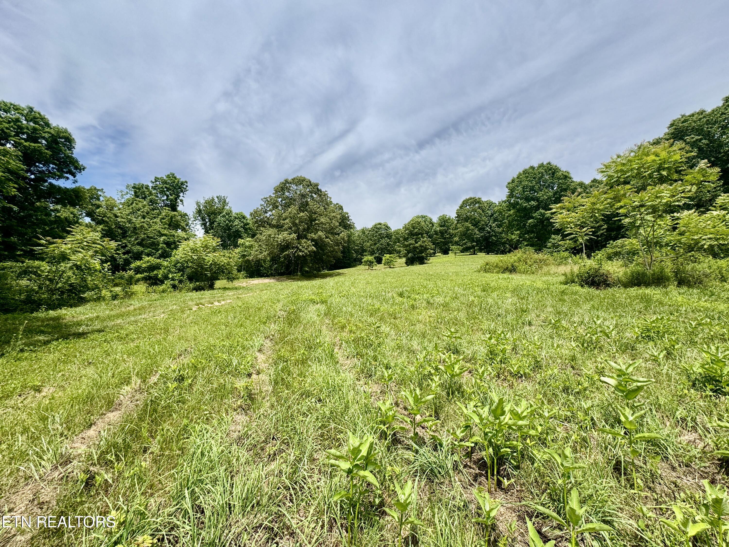 378 Johnson Hollow Road New Tazewell TN 37825