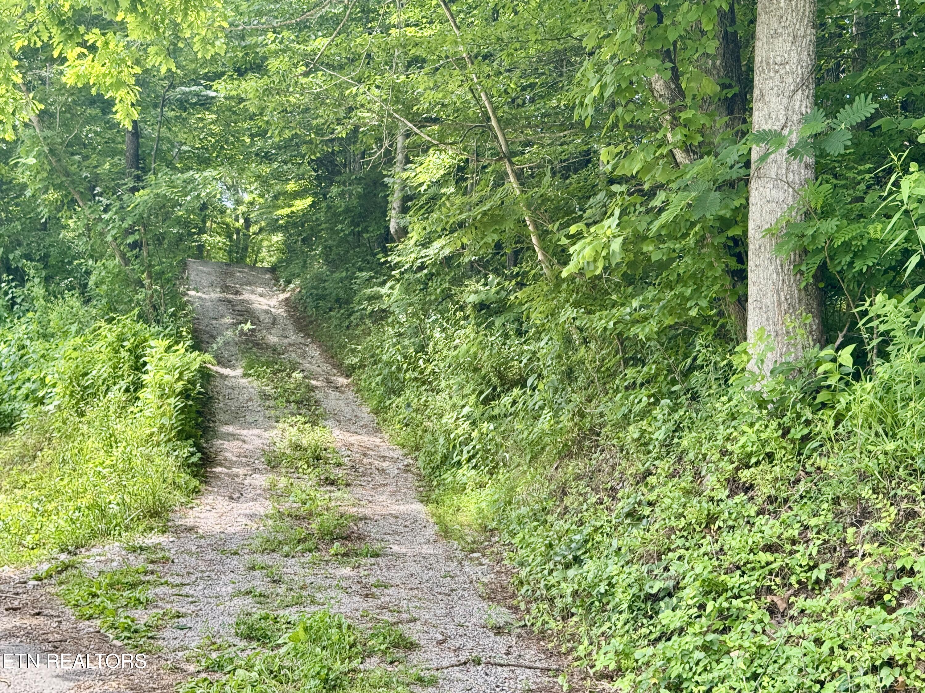 378 Johnson Hollow Road New Tazewell TN 37825