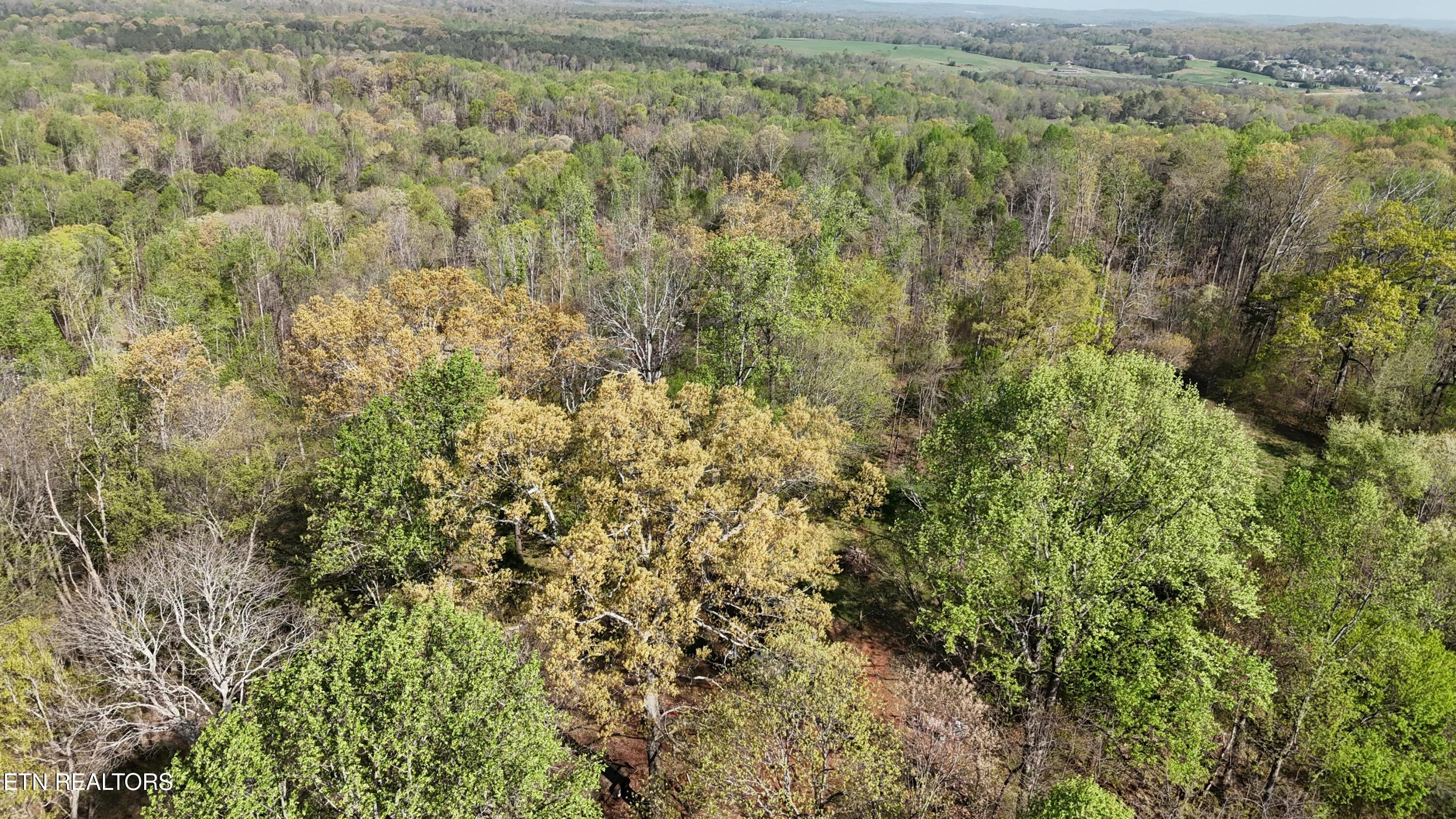 0000 County Road 675 Athens TN 37303