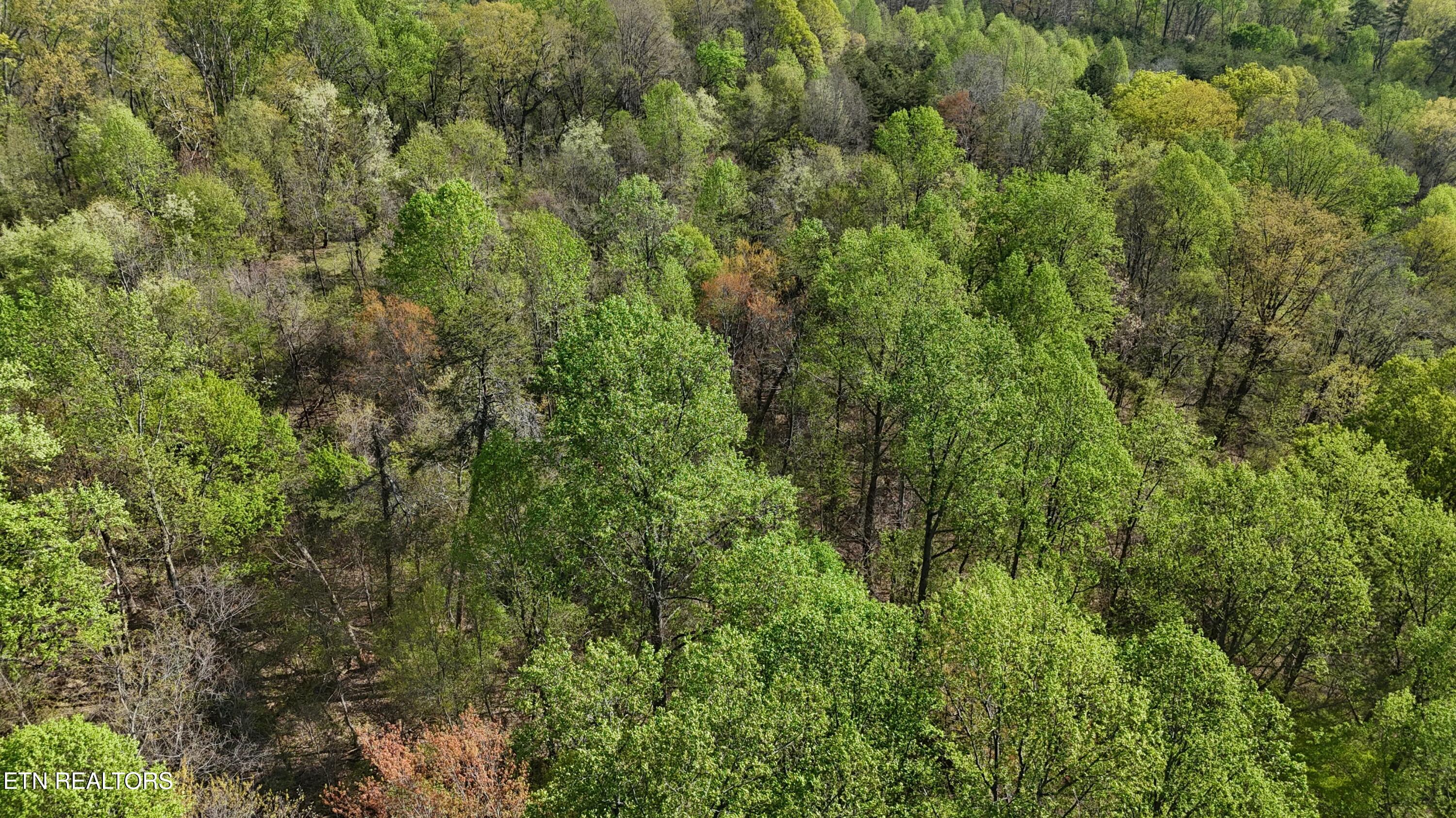 0000 County Road 675 Athens TN 37303