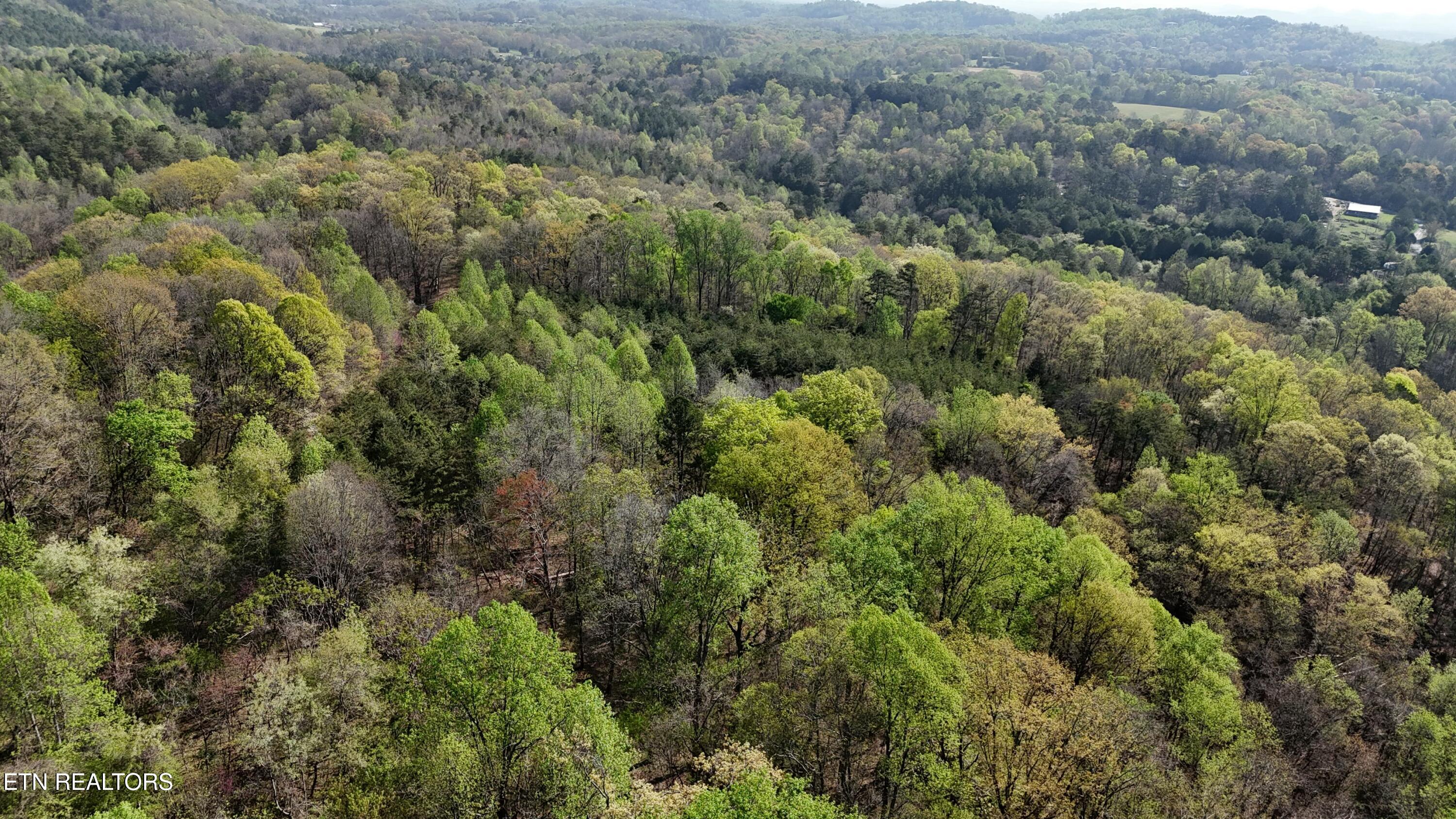 0000 County Road 675 Athens TN 37303
